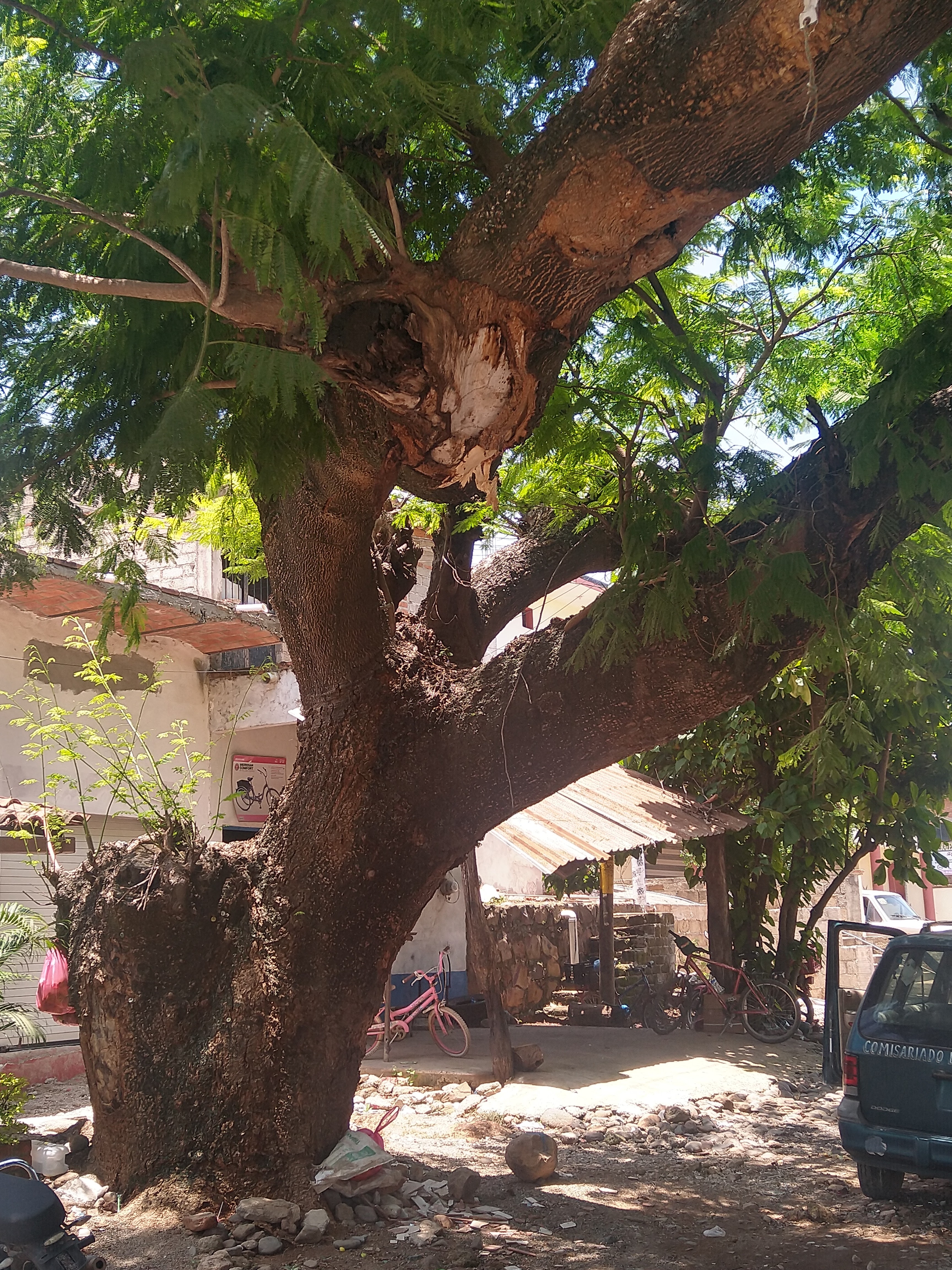 Mariscos lupita image 1