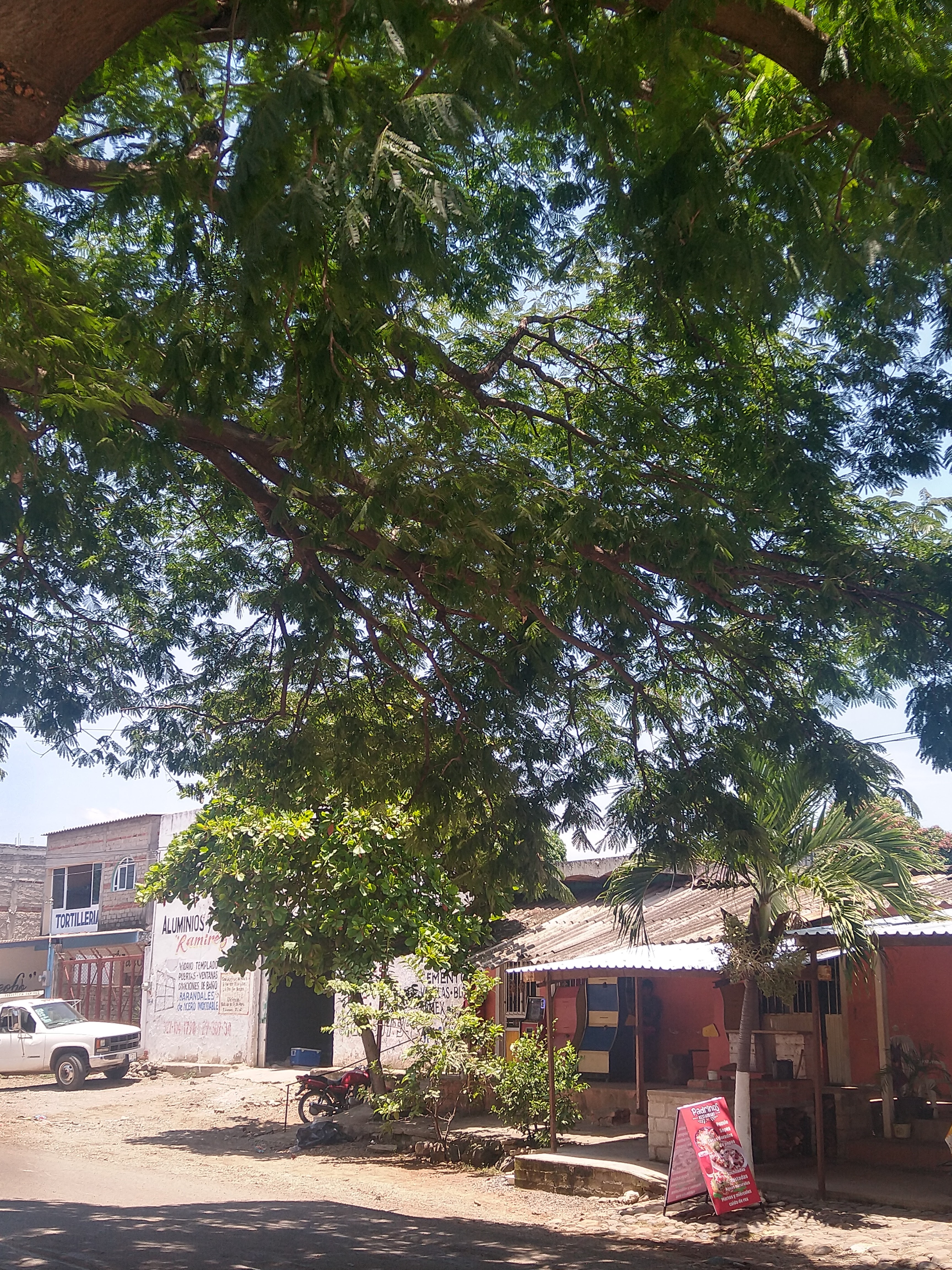 Mariscos lupita image 2