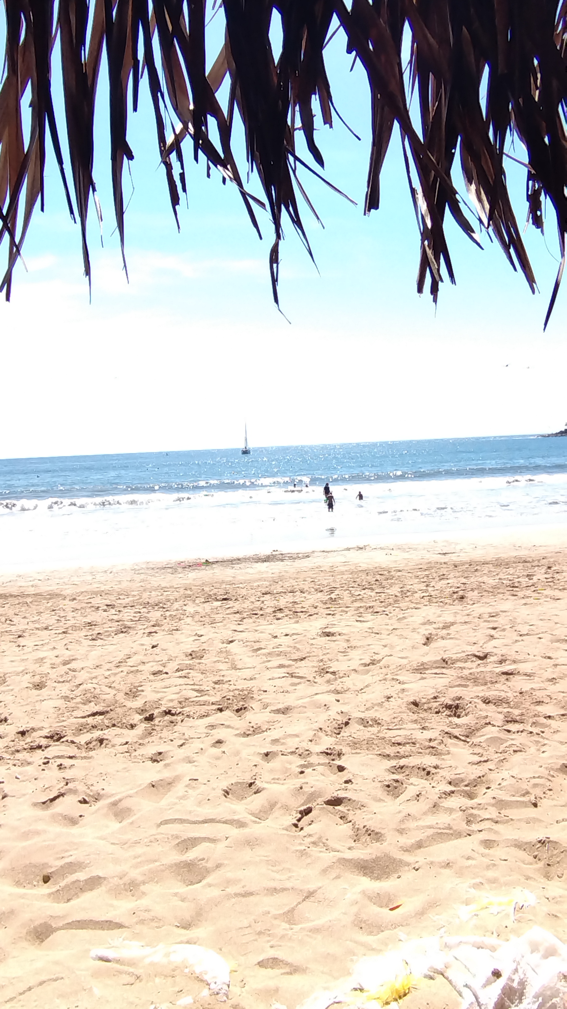 Chico's Restaurant - Bar image 7