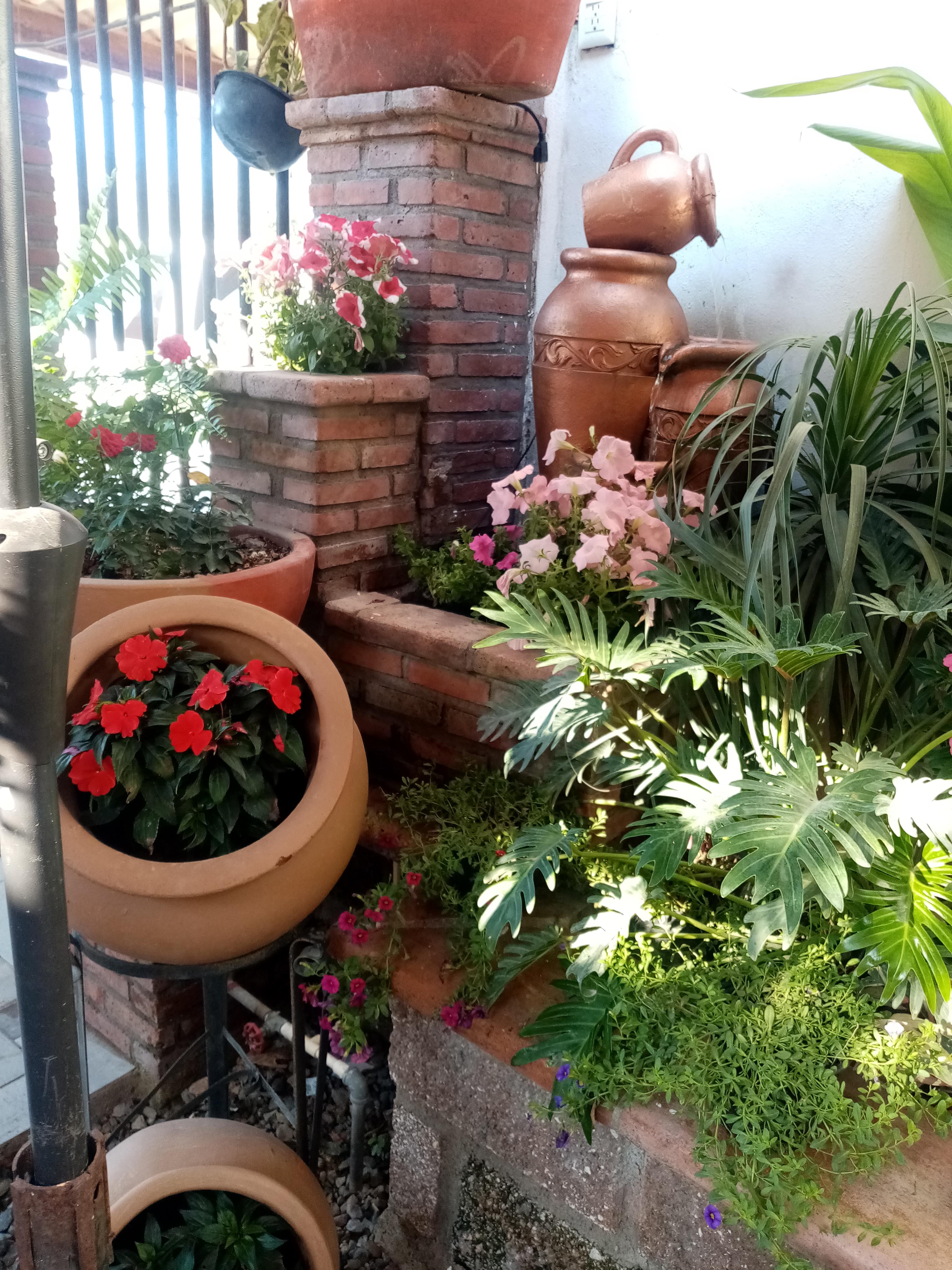 Restaurante Rancho Grande image 7