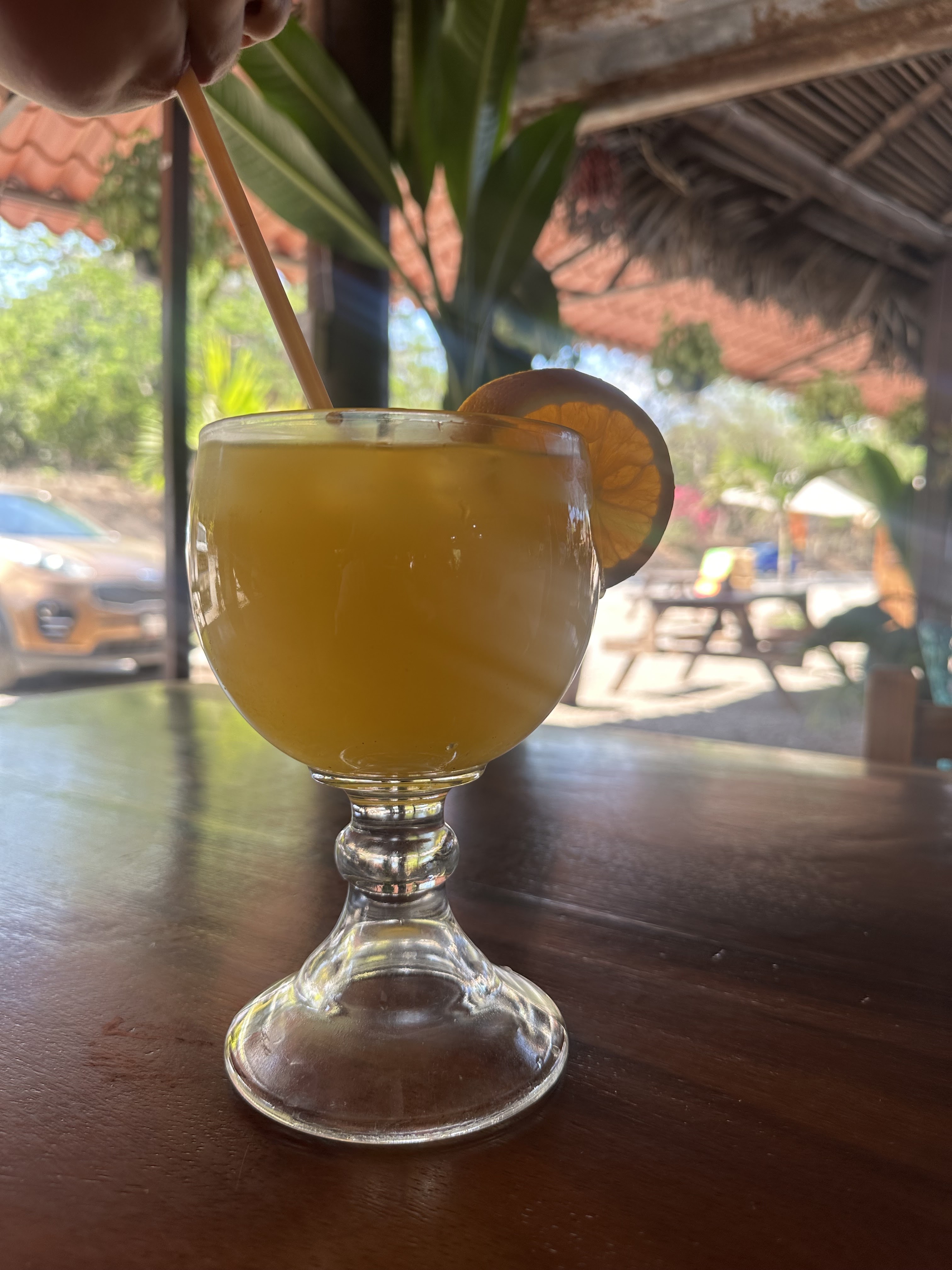 EL ARRECIFE DE ADILENE image 4