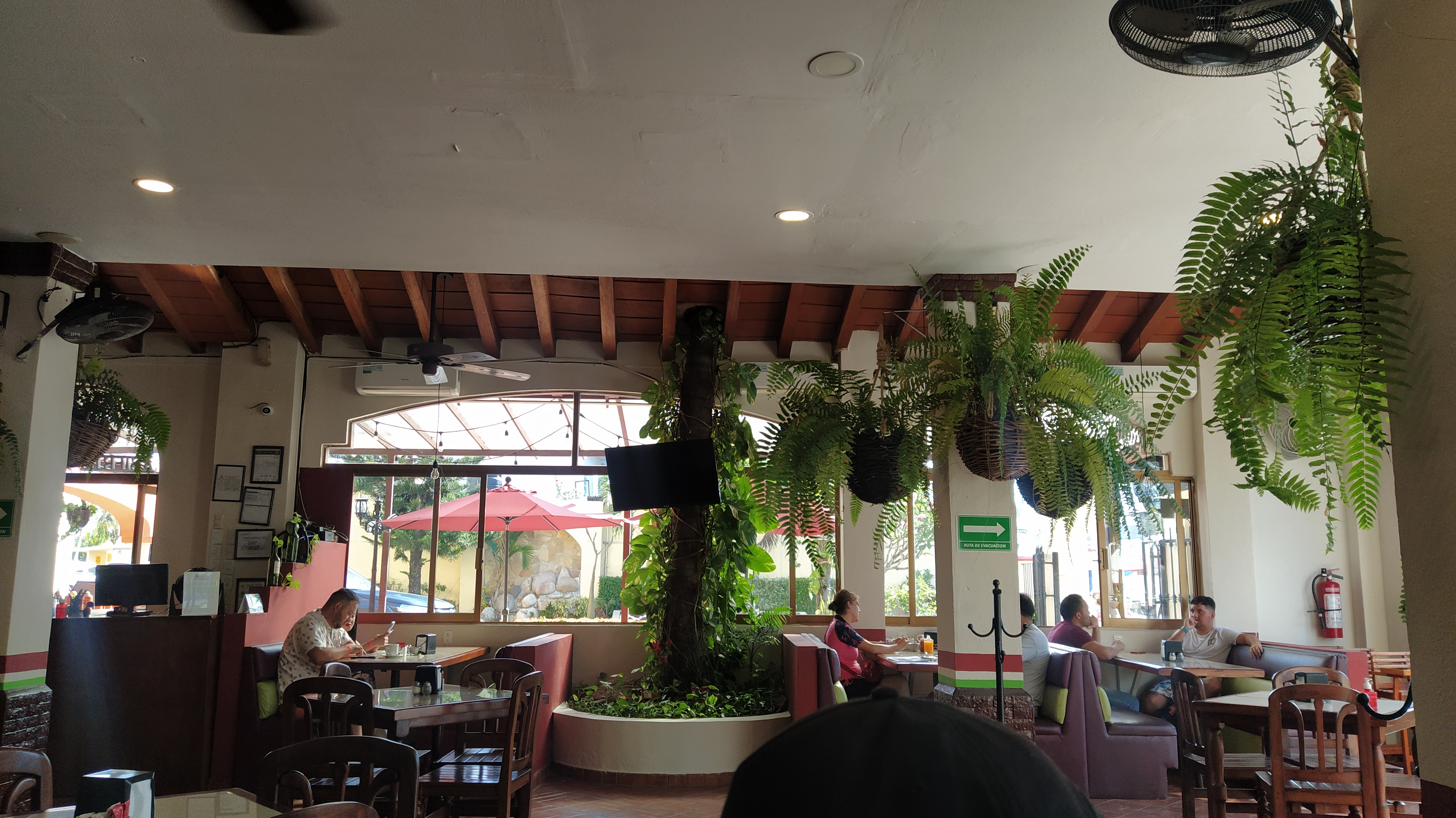 Restaurant Los Helechos image 8