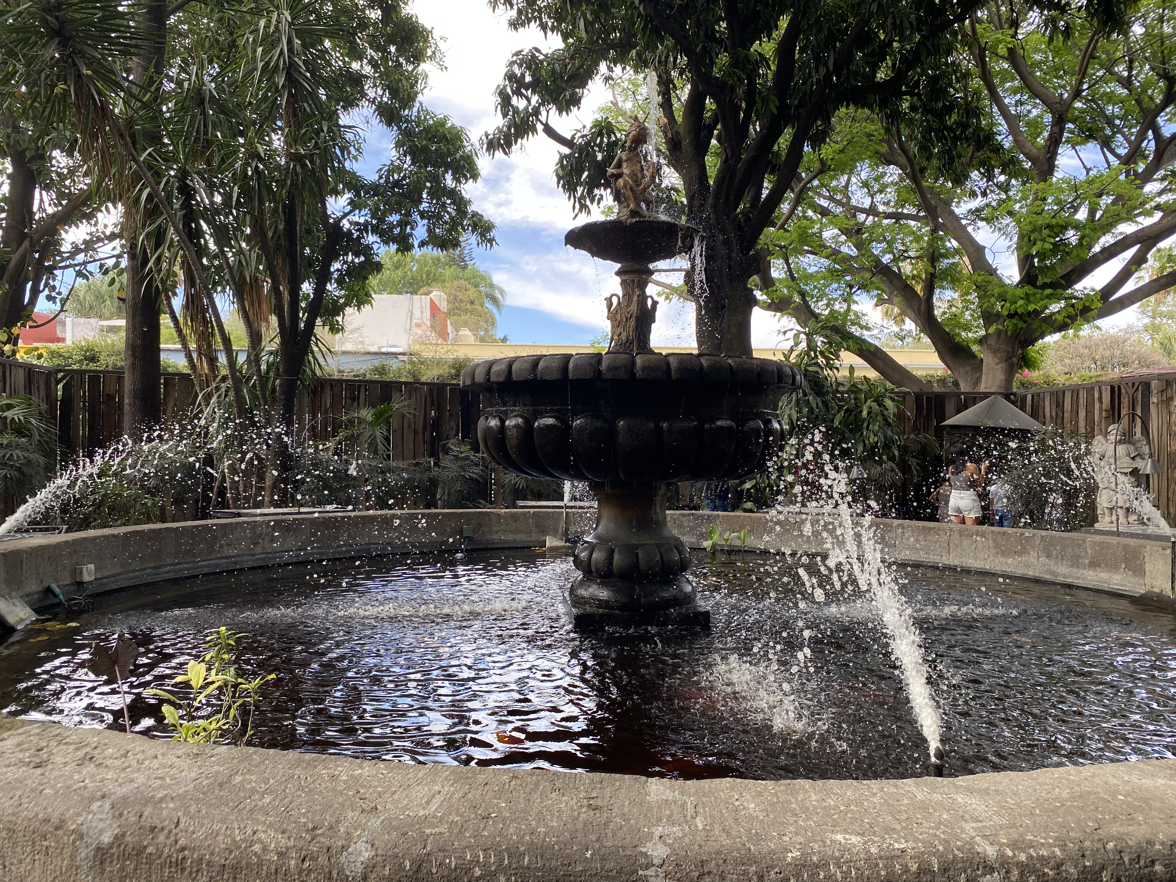 Restaurante Cielito Lindo image 8