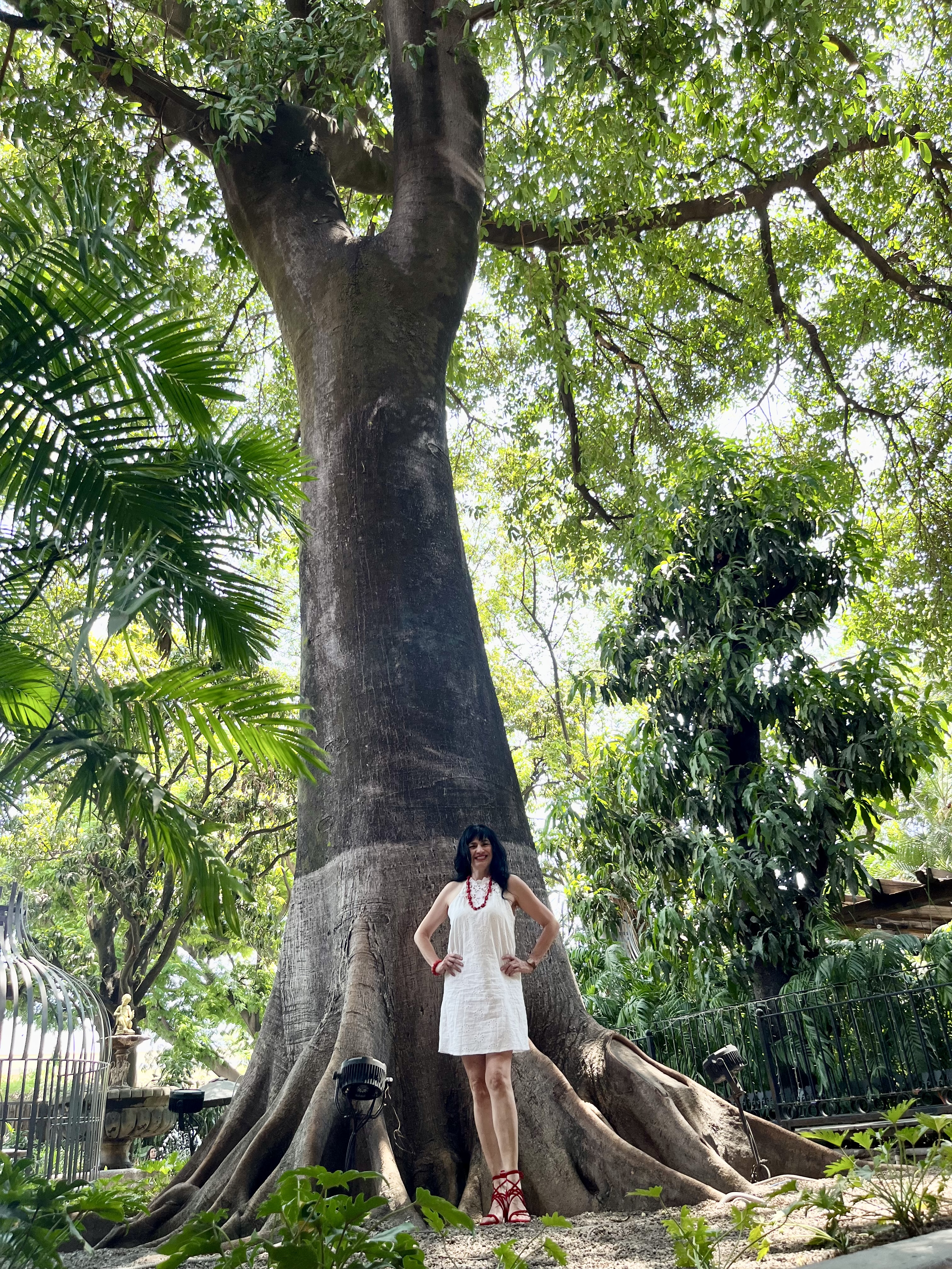 Restaurante Cielito Lindo image 9