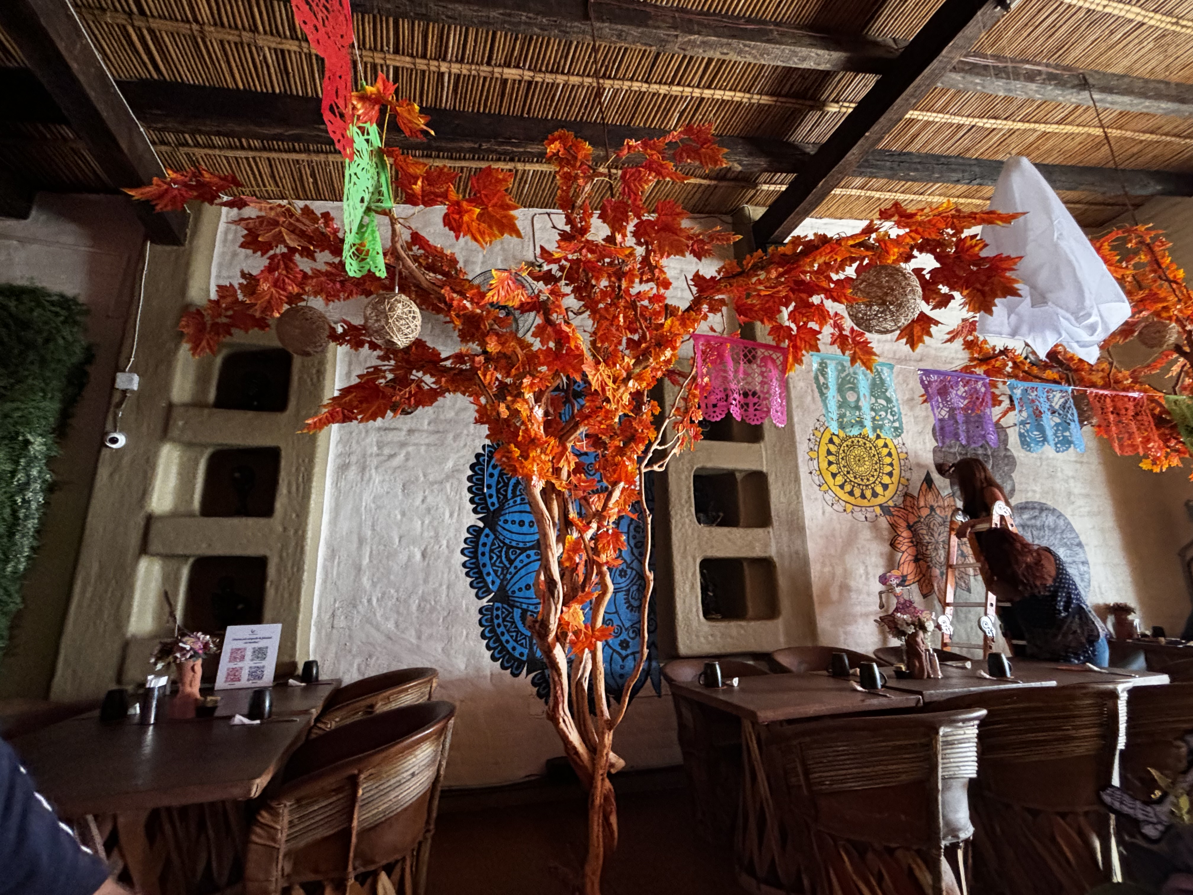 Agora Restaurante image 4