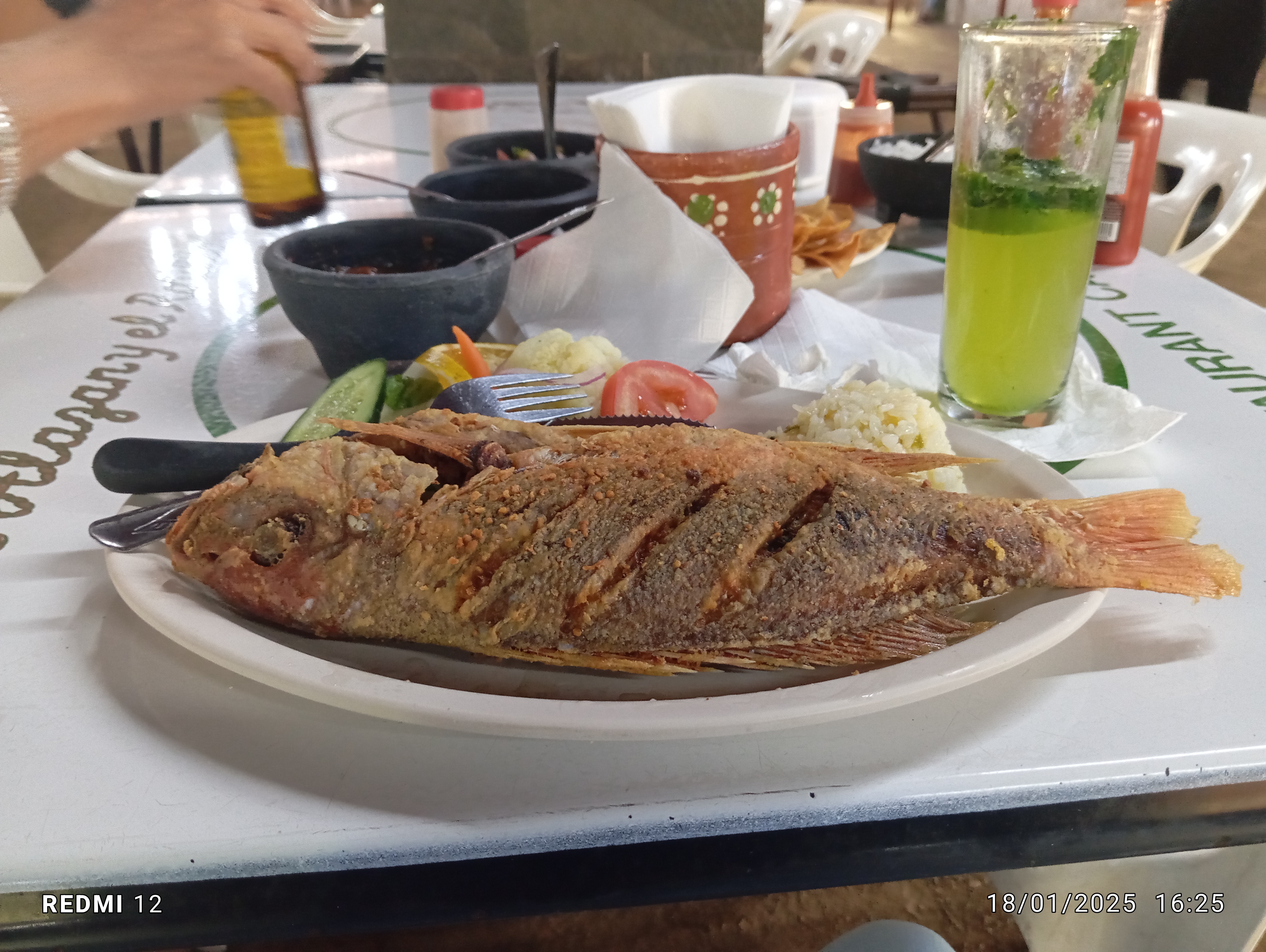 El Alazan y el Rosillo image 3