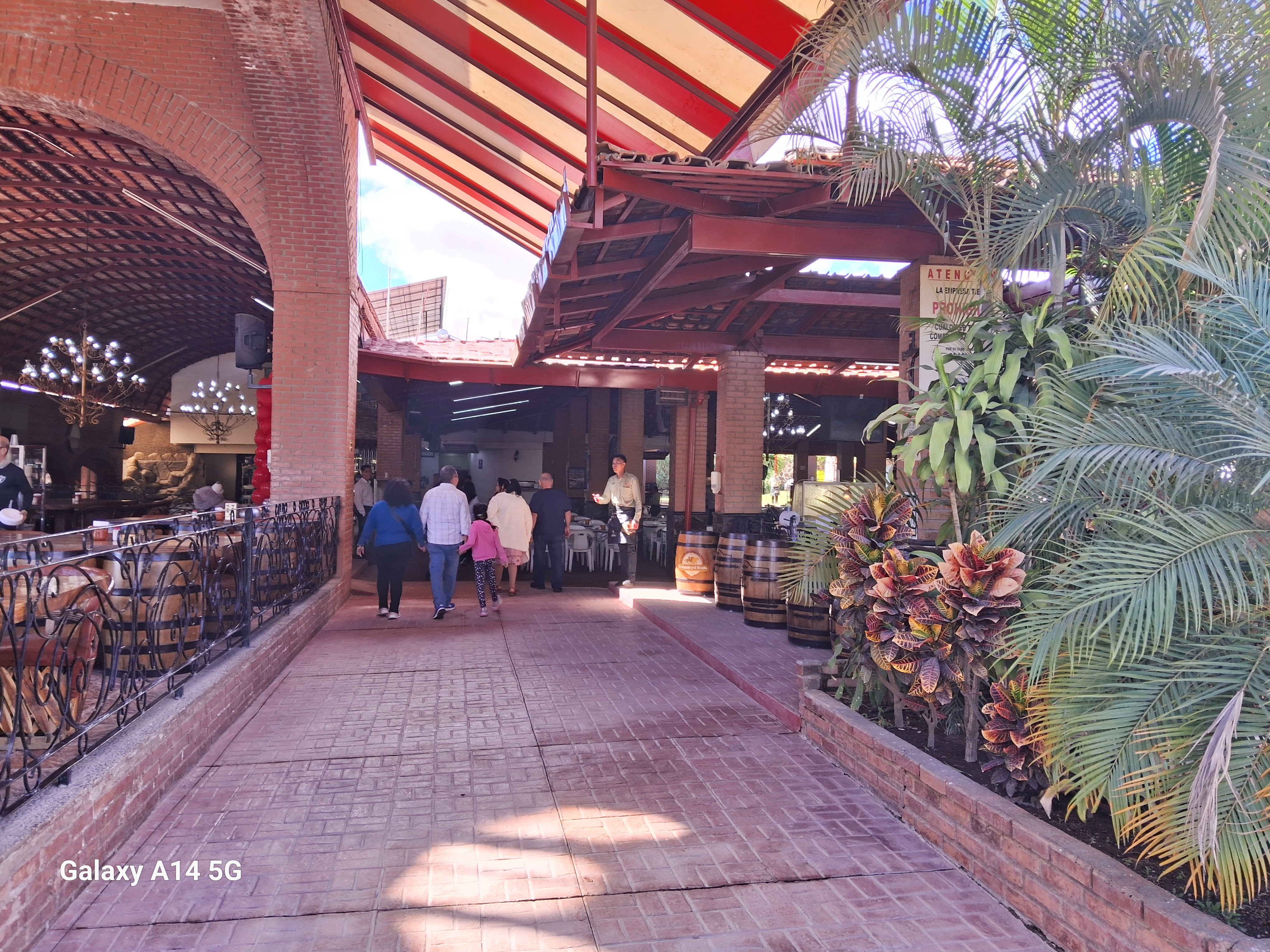 El Alazan y el Rosillo image 10