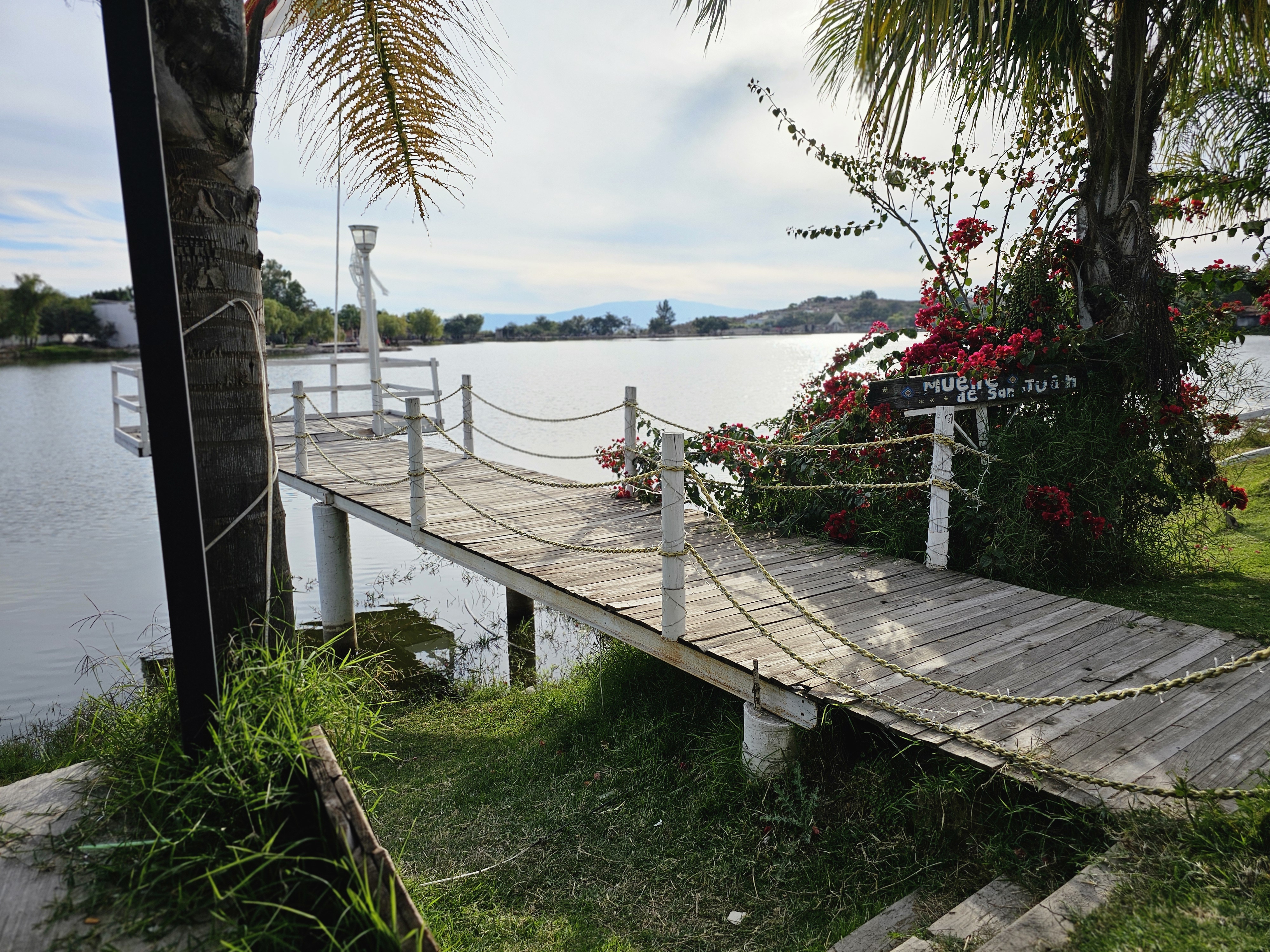 Terrace The Amadeos image 8