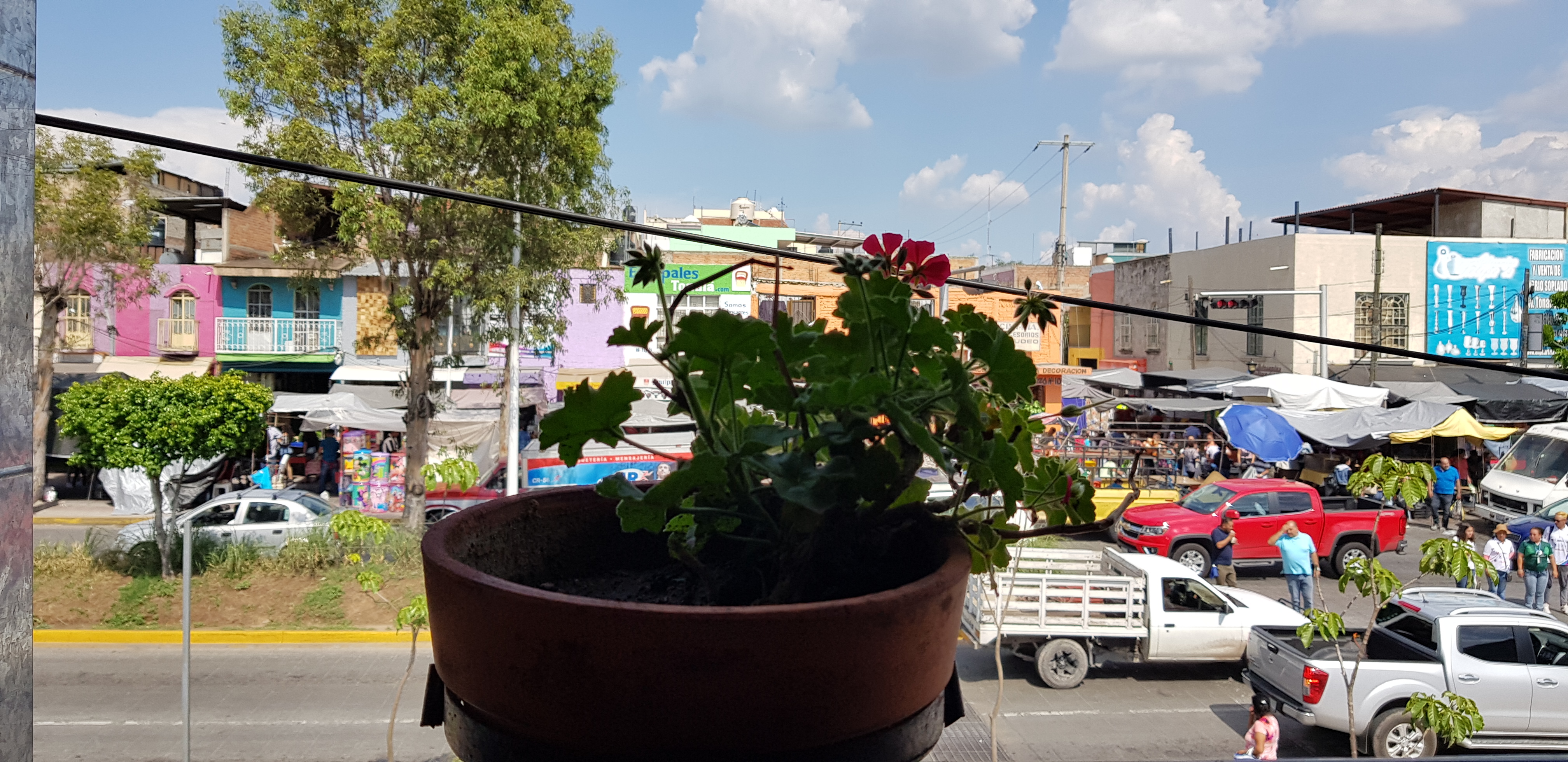 Restaurante Fiesta Vallarta image 9