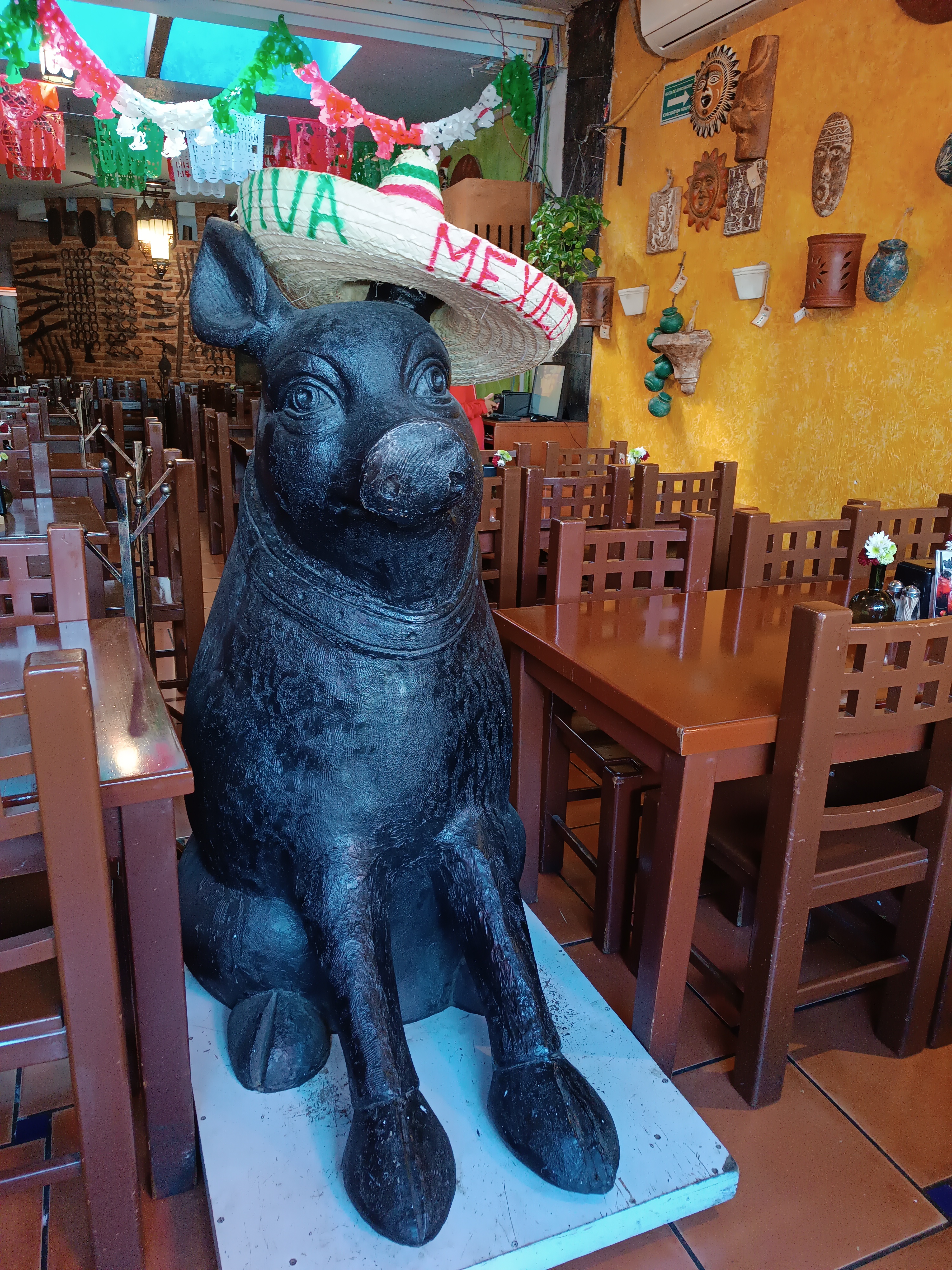 Carnes En Su Jugo "Navarrete" image 10