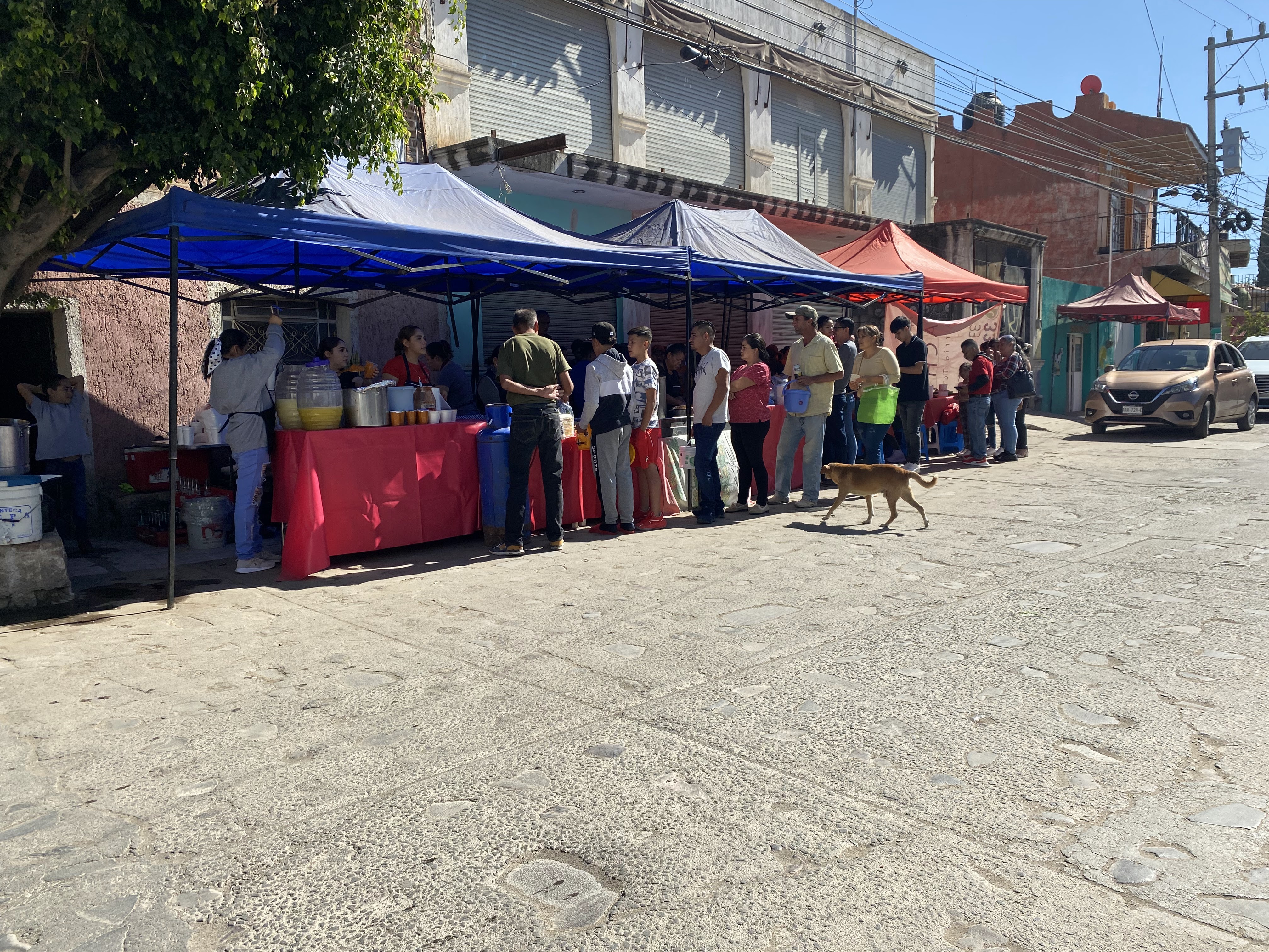 Pachita birria tatemada image 2