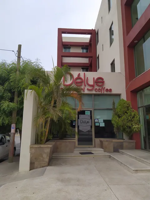 Delys image 1