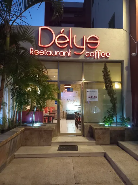 Delys image 5