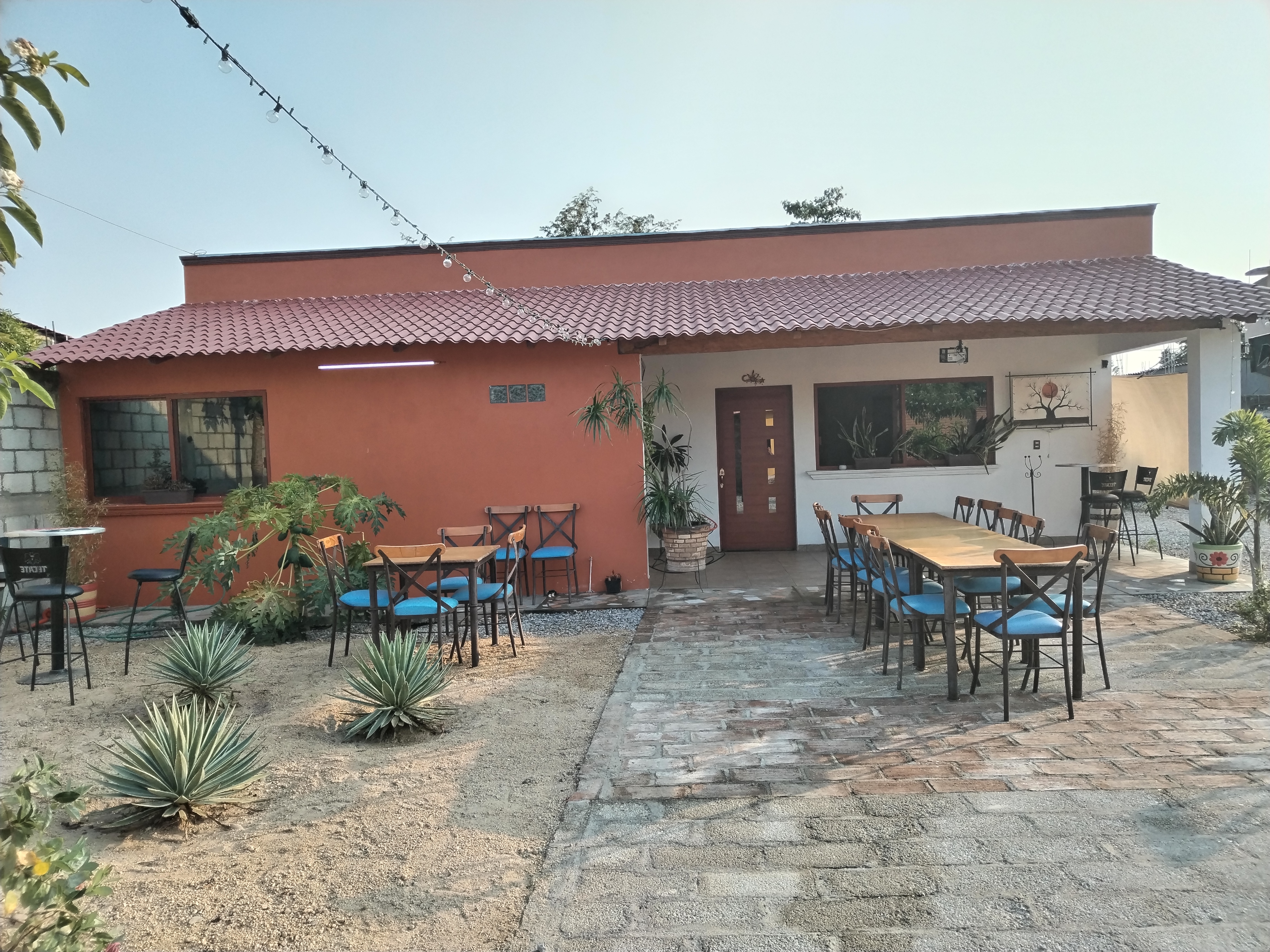 Pixca Cocina de mi raíz image 7