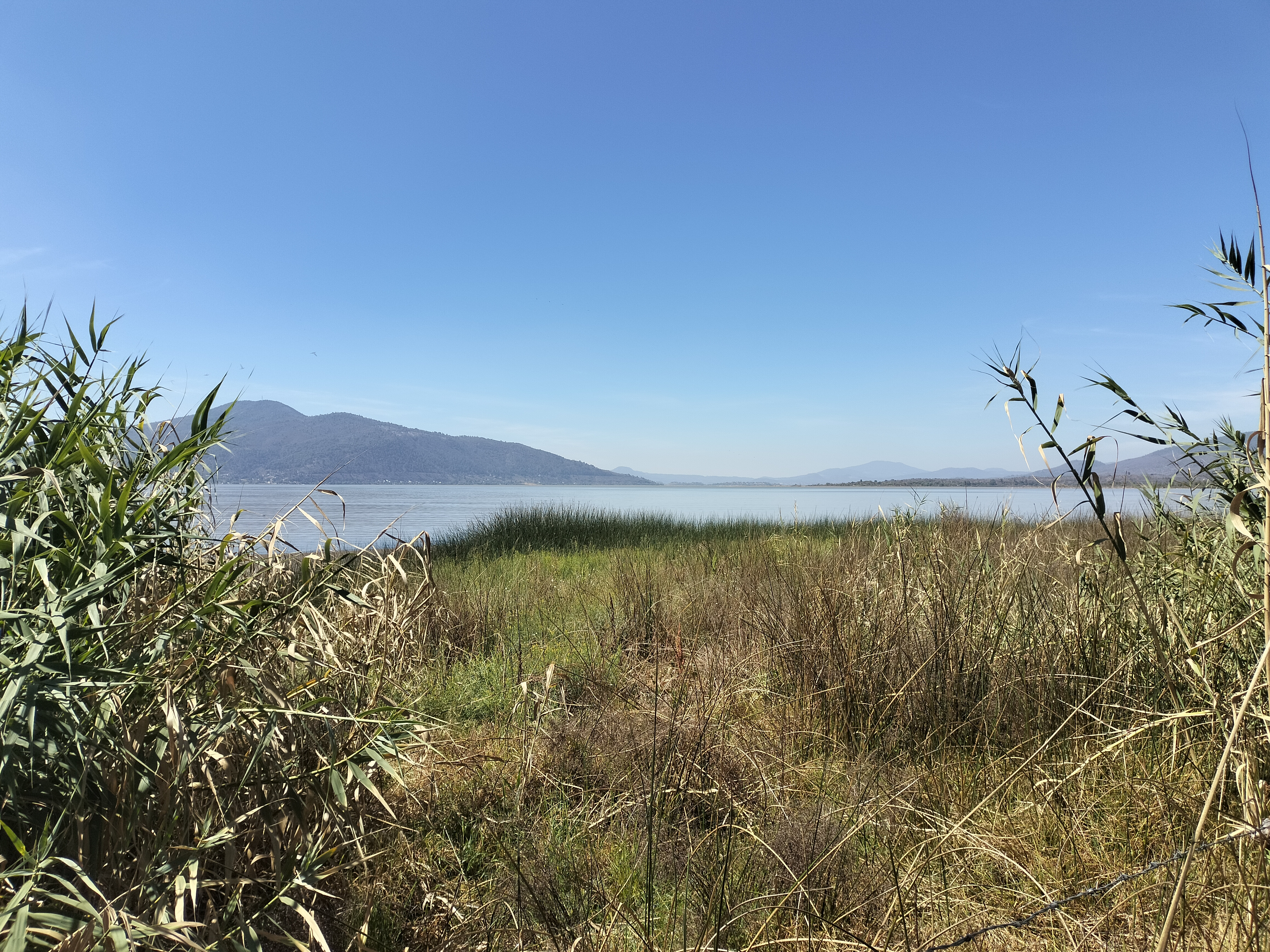 Restaurante San Jerónimo image 10