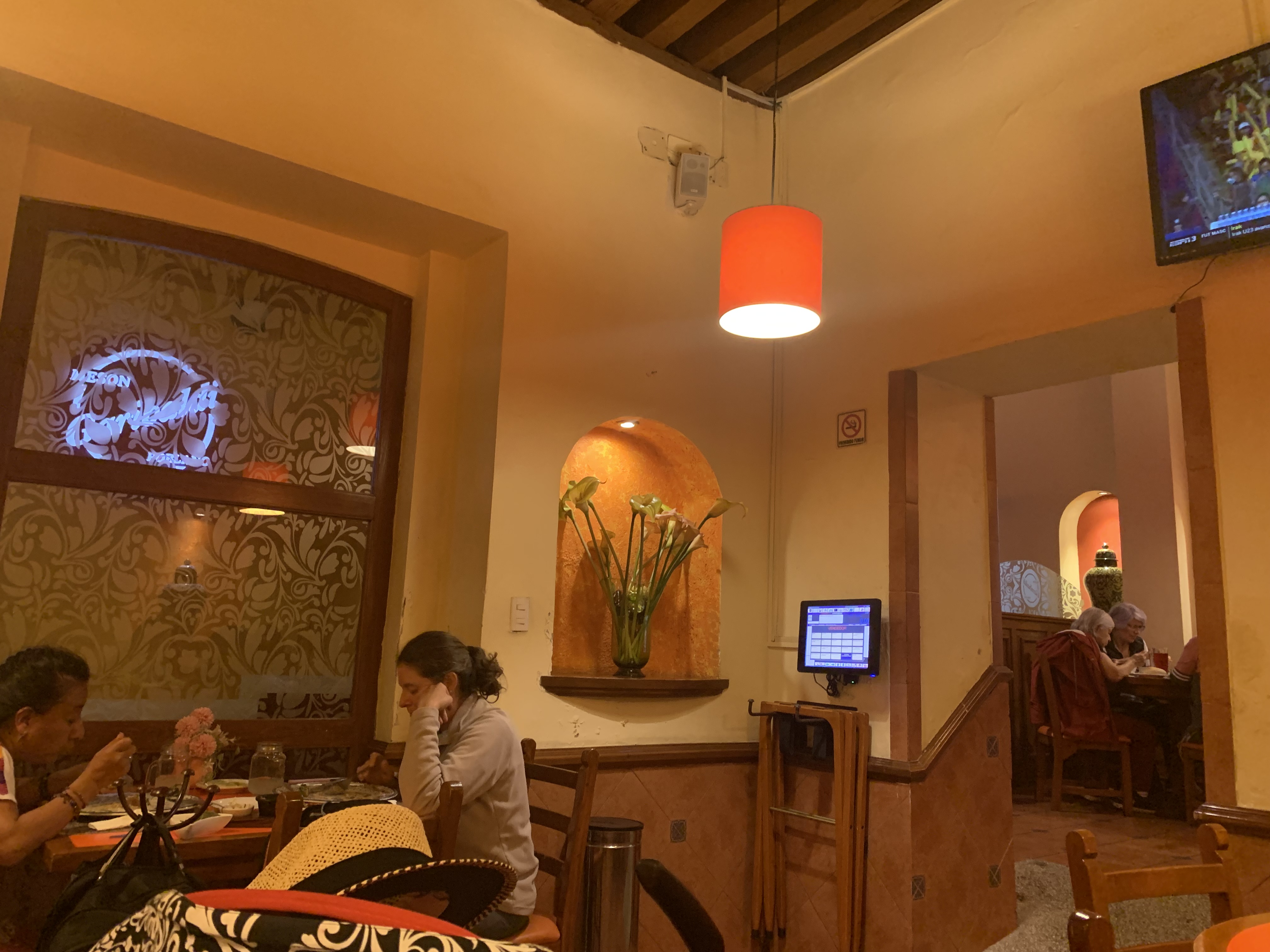 Meson Garibaldi image 5