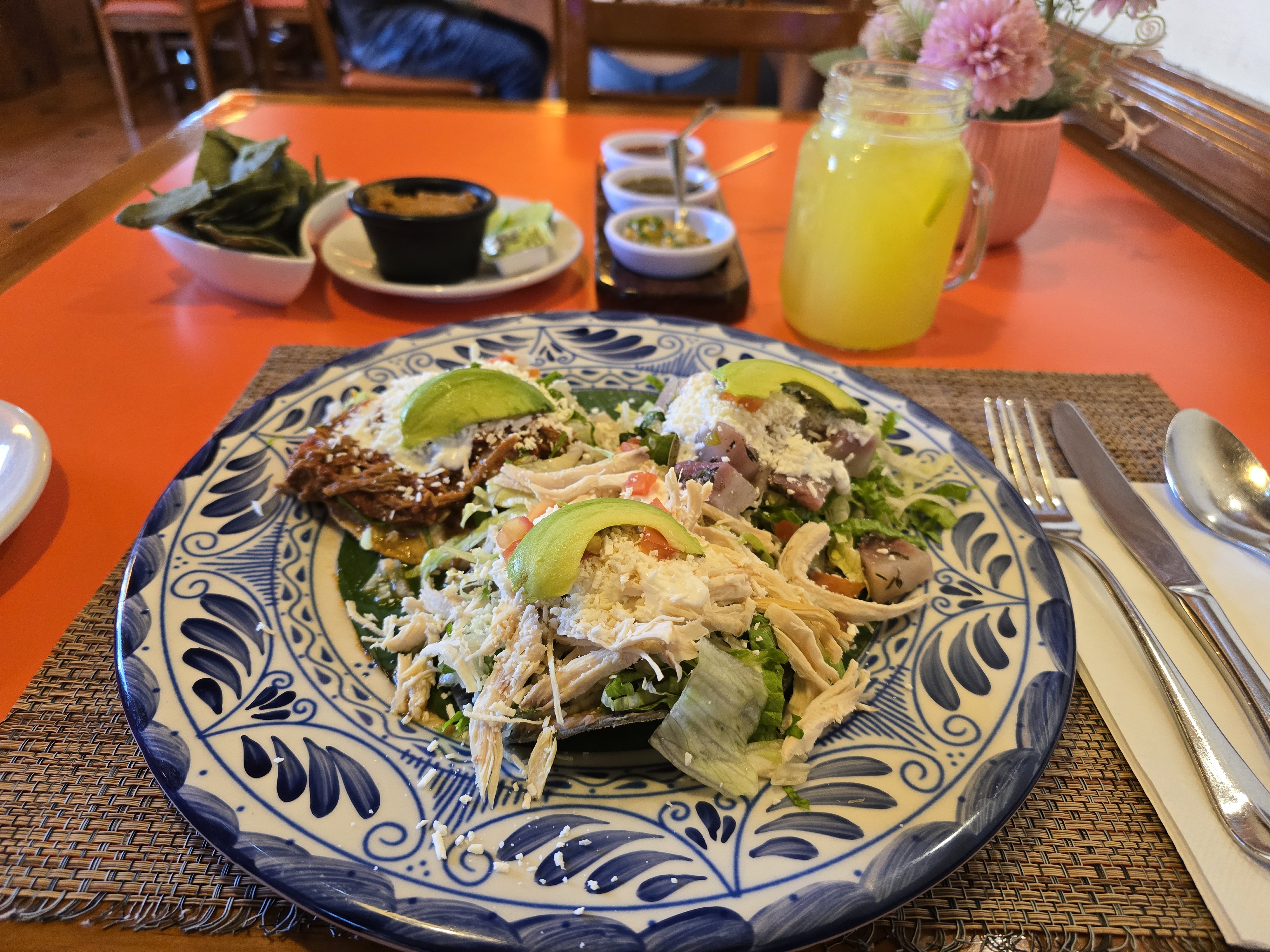 Meson Garibaldi image 10