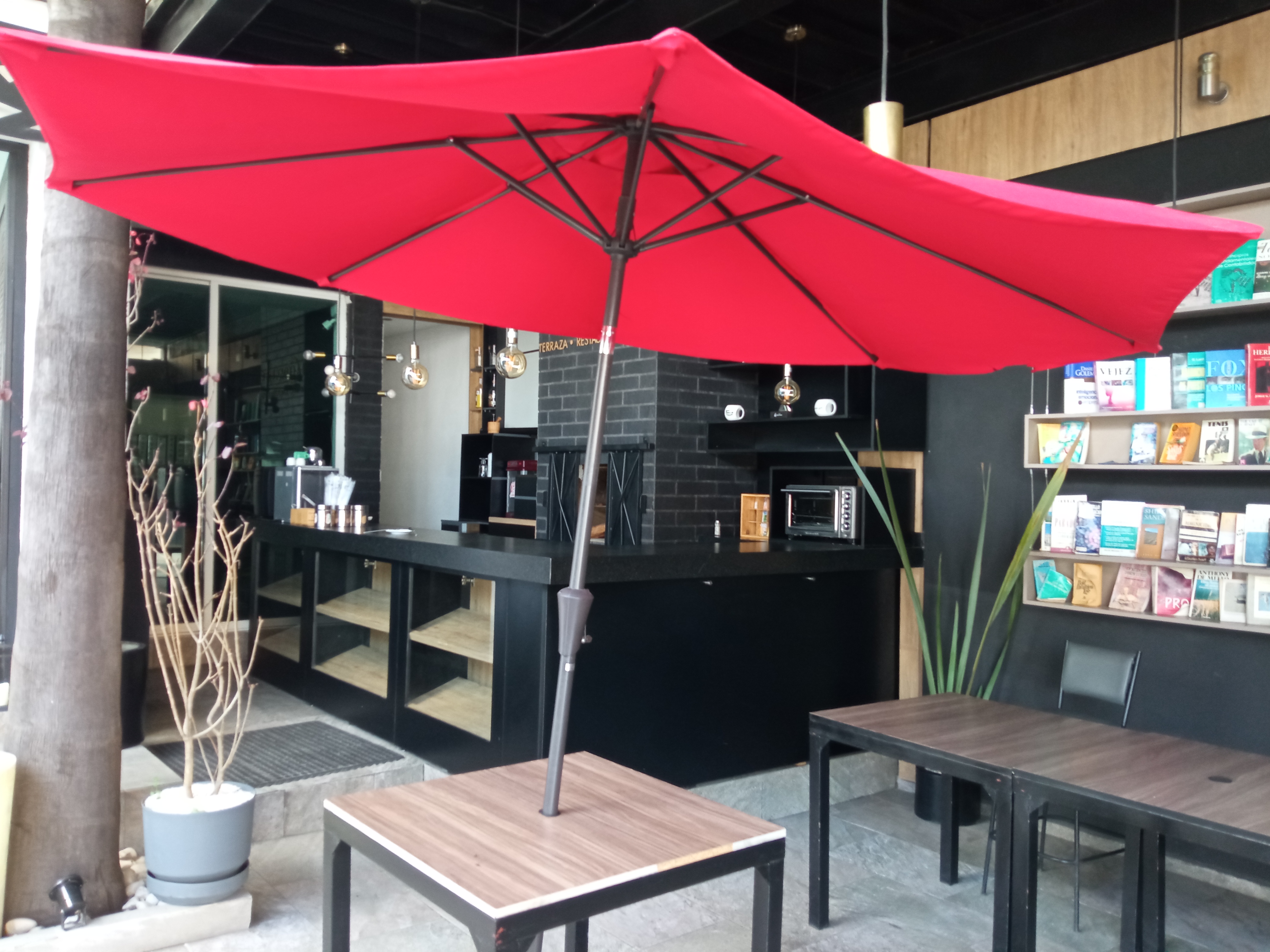 La Conquista image 1