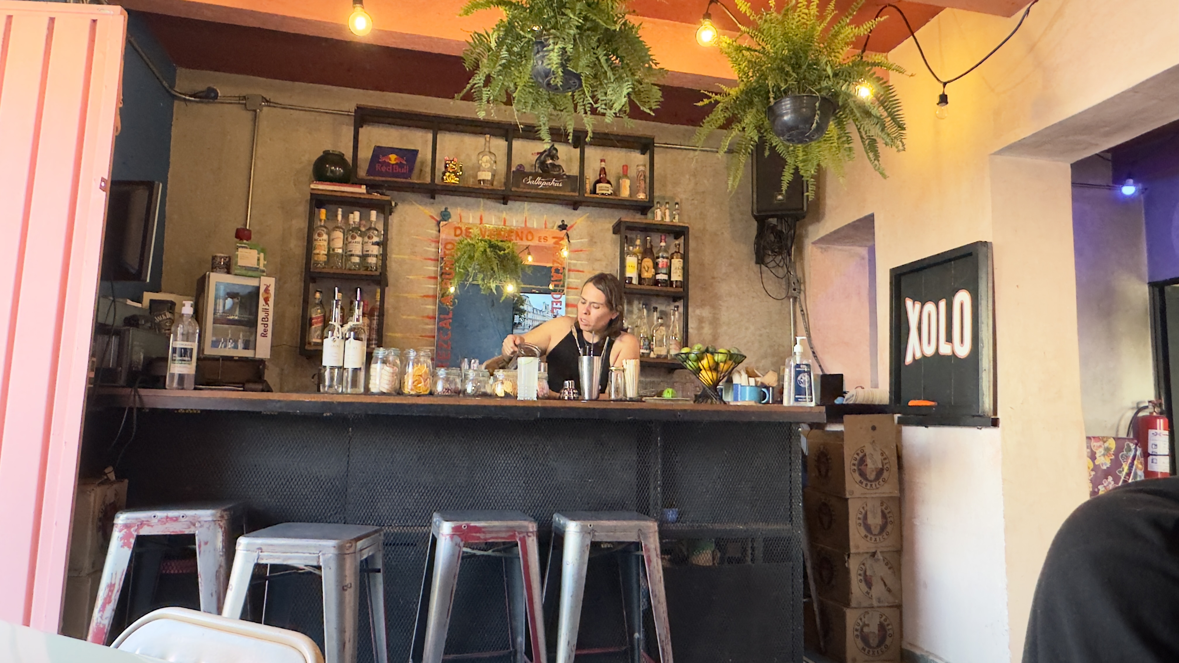 XOLO Taquería image 1