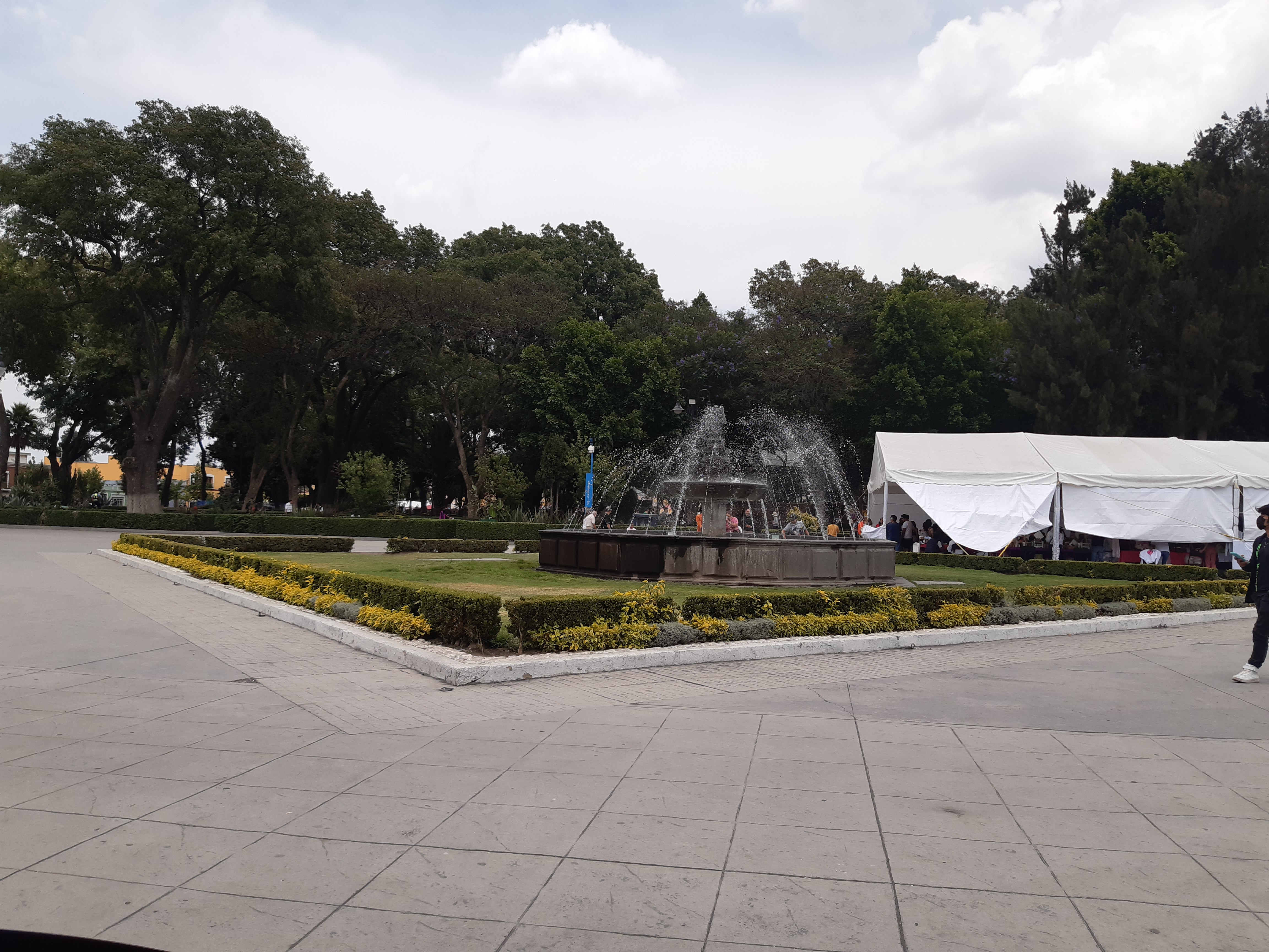 Restaurante La Palmera image 10