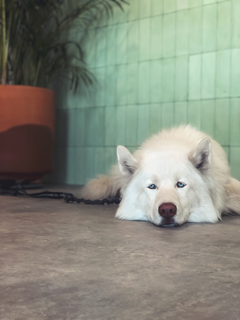 Gran Vía Zerezotla image 7