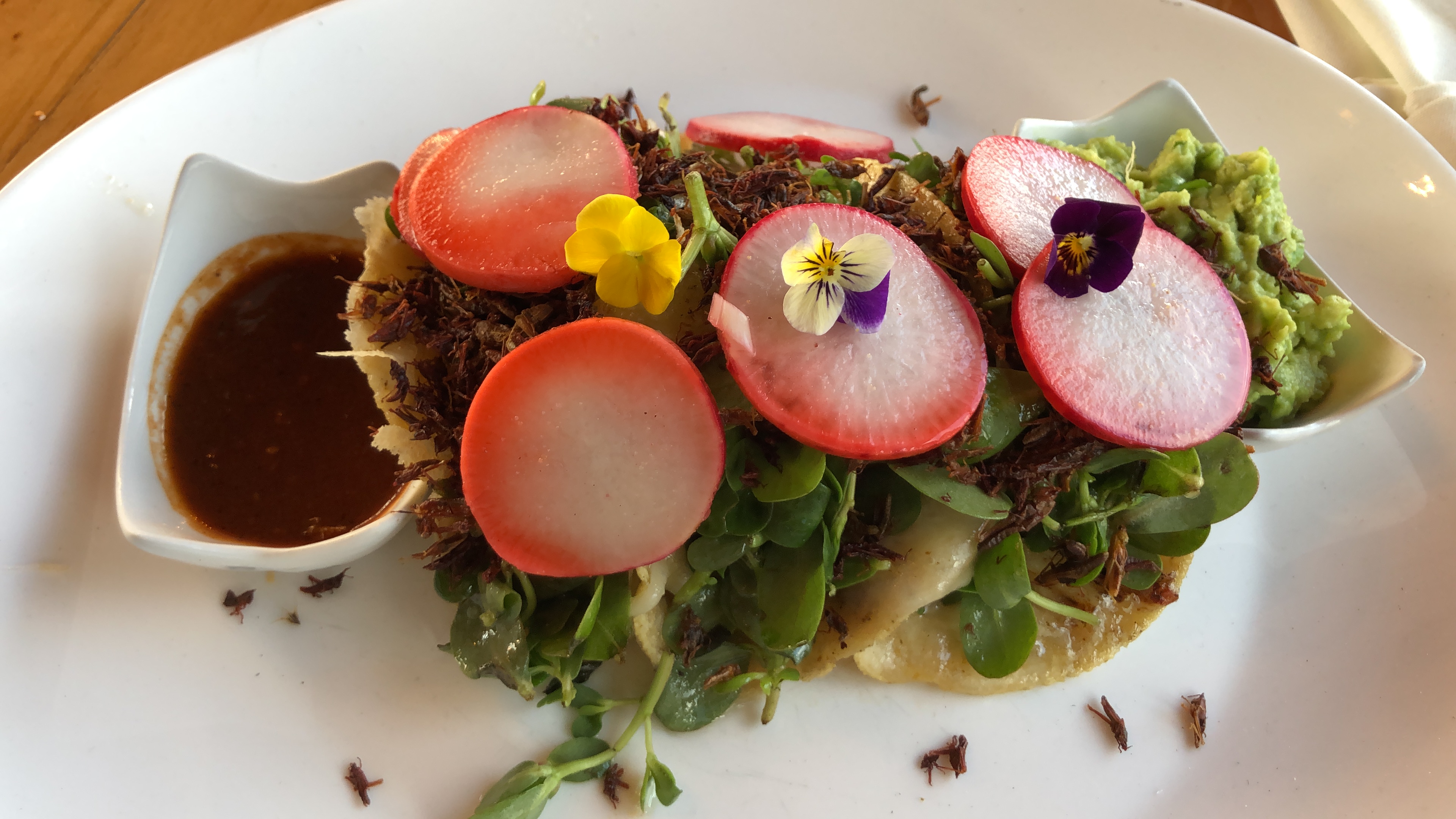 Sangre Azteca image 10