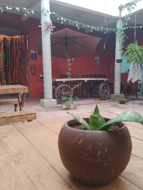 Trompitos DADIDA'S image 7