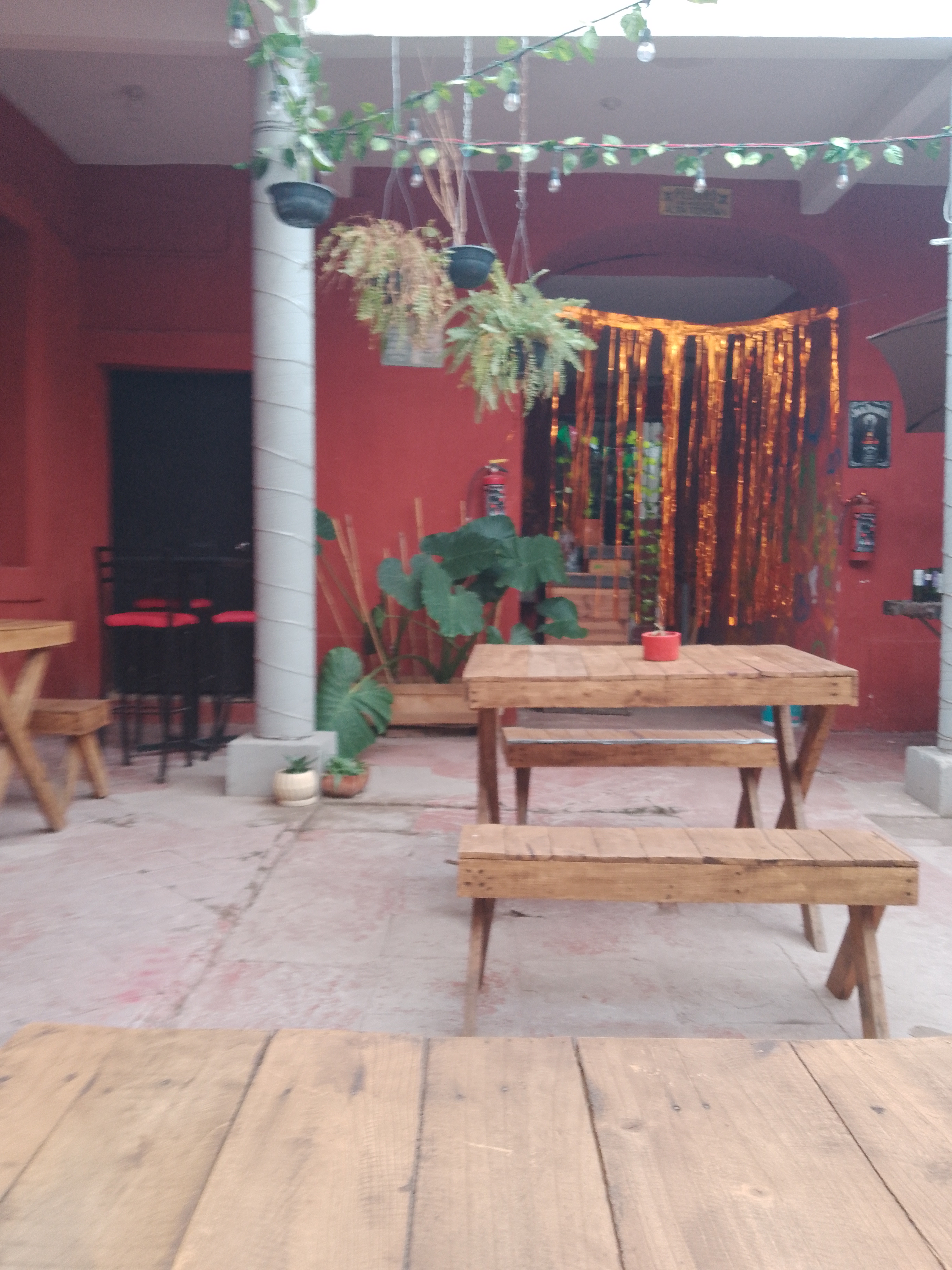 Trompitos DADIDA'S image 8