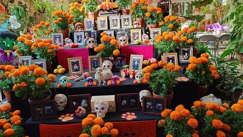 Tradiciones image 6