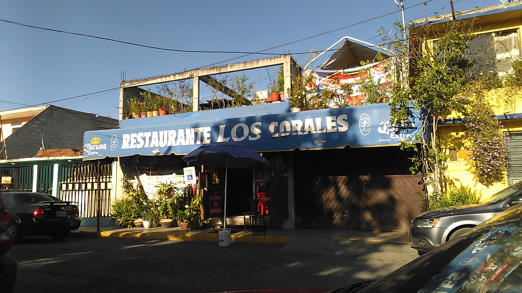 Restaurante Los Corales pescados y mariscos image 1