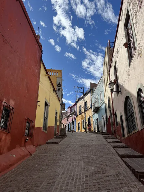 Santo Café image 3