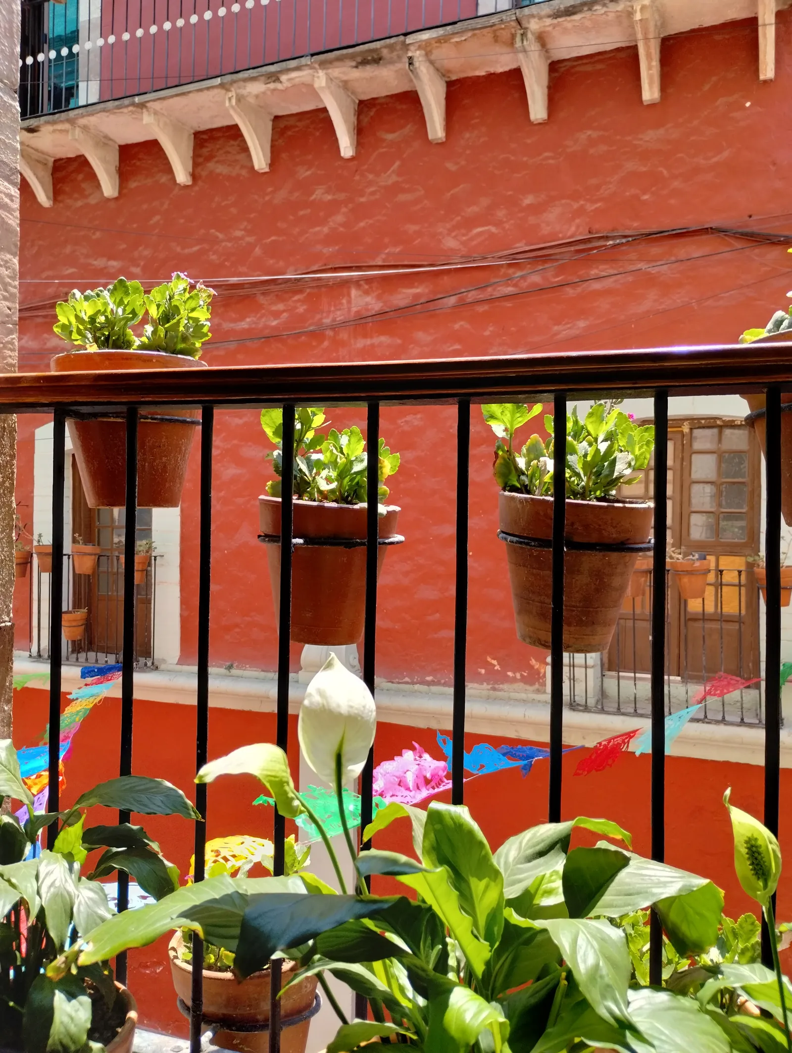 Santo Café image 5
