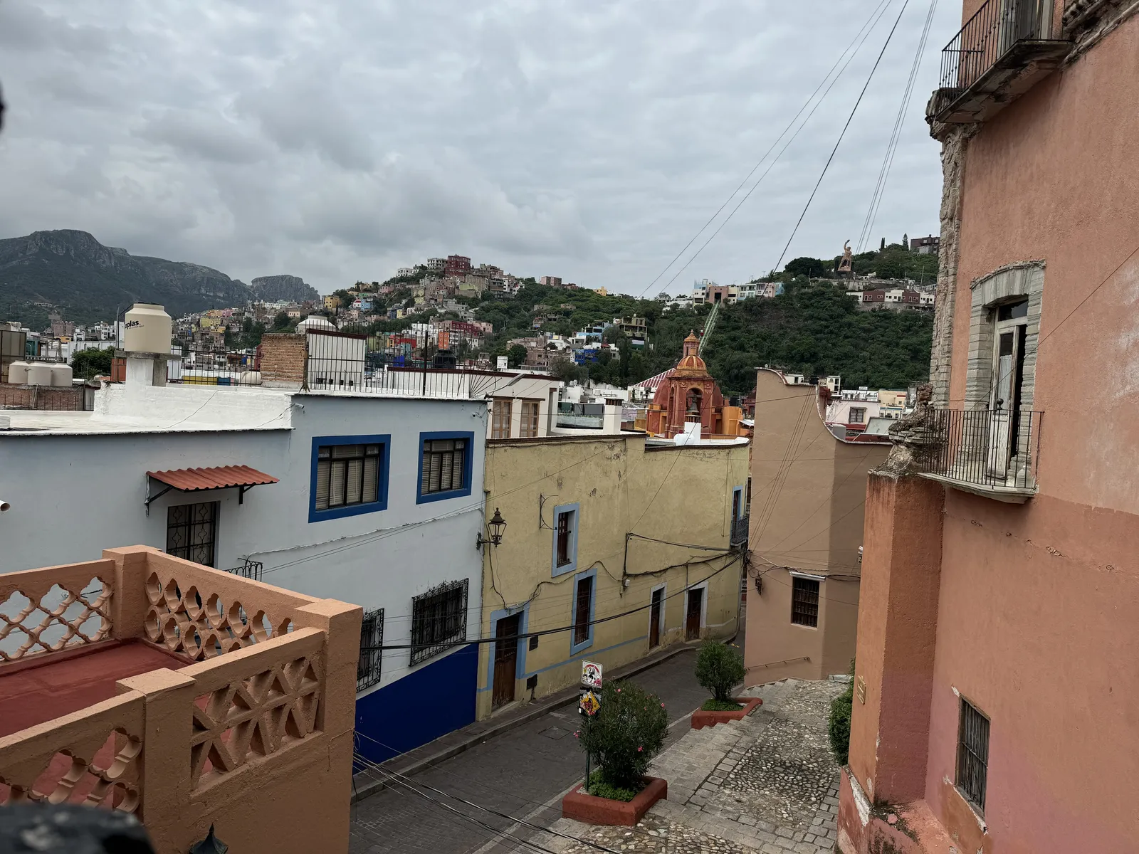 Oajillo image 6
