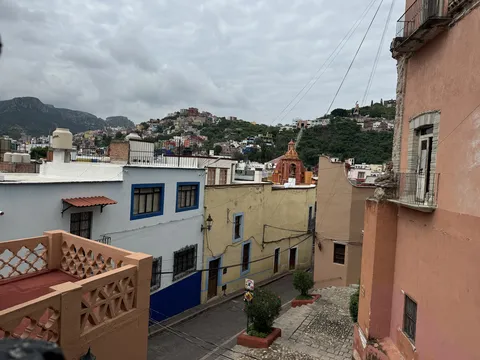 Oajillo image 6