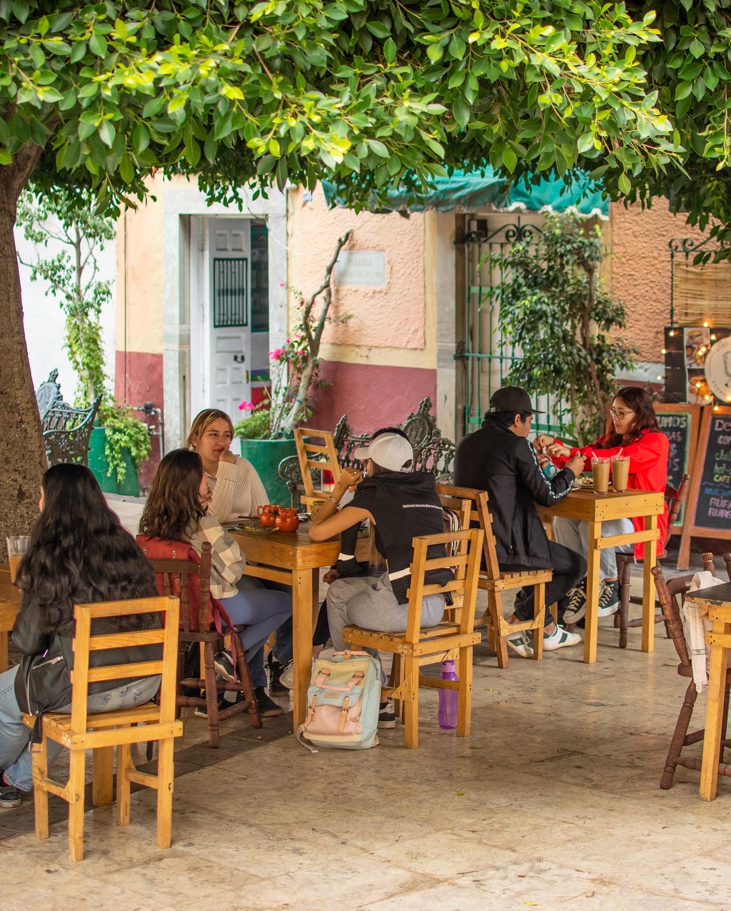 Street Garden image 1