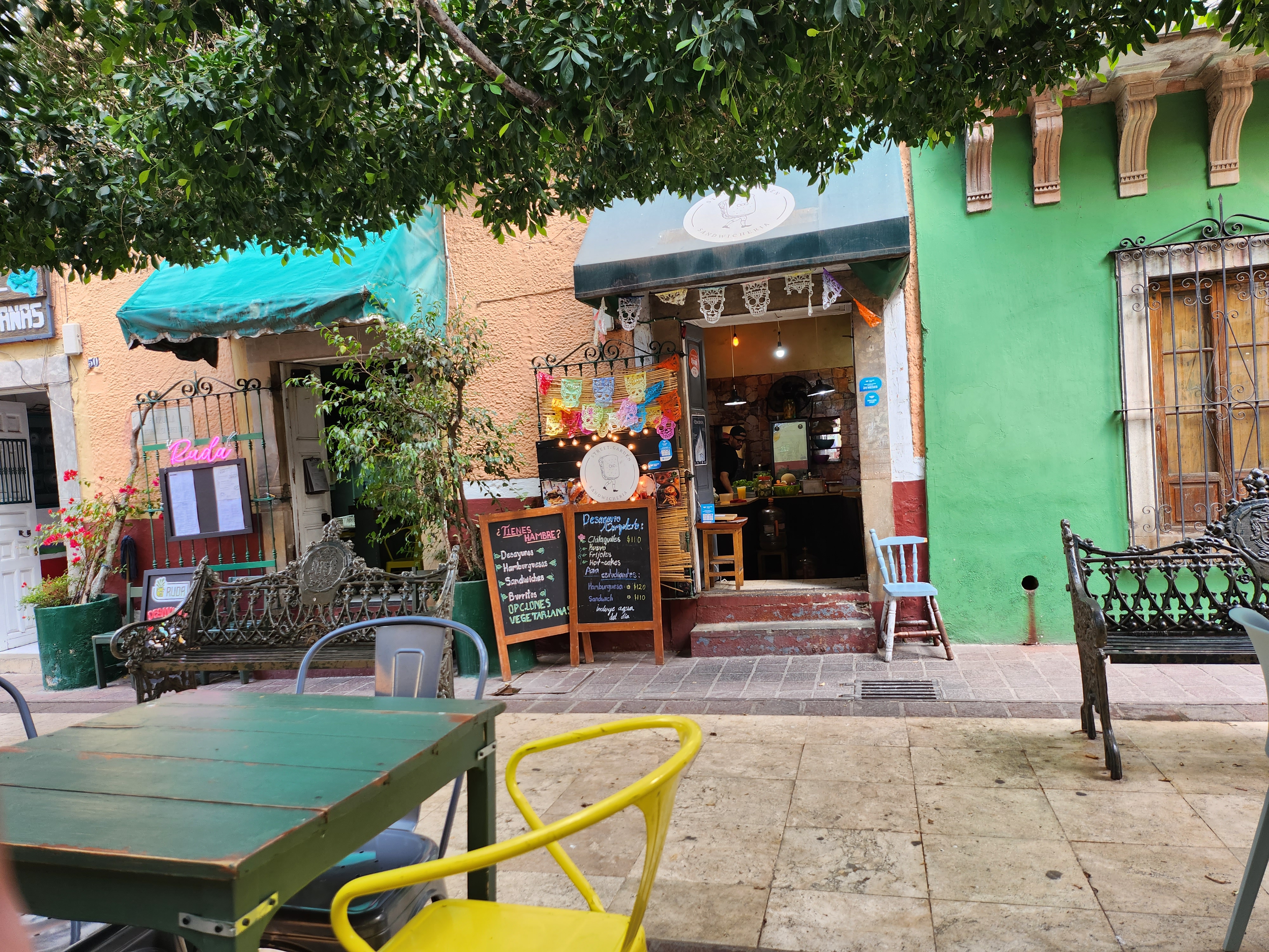 Street Garden image 6