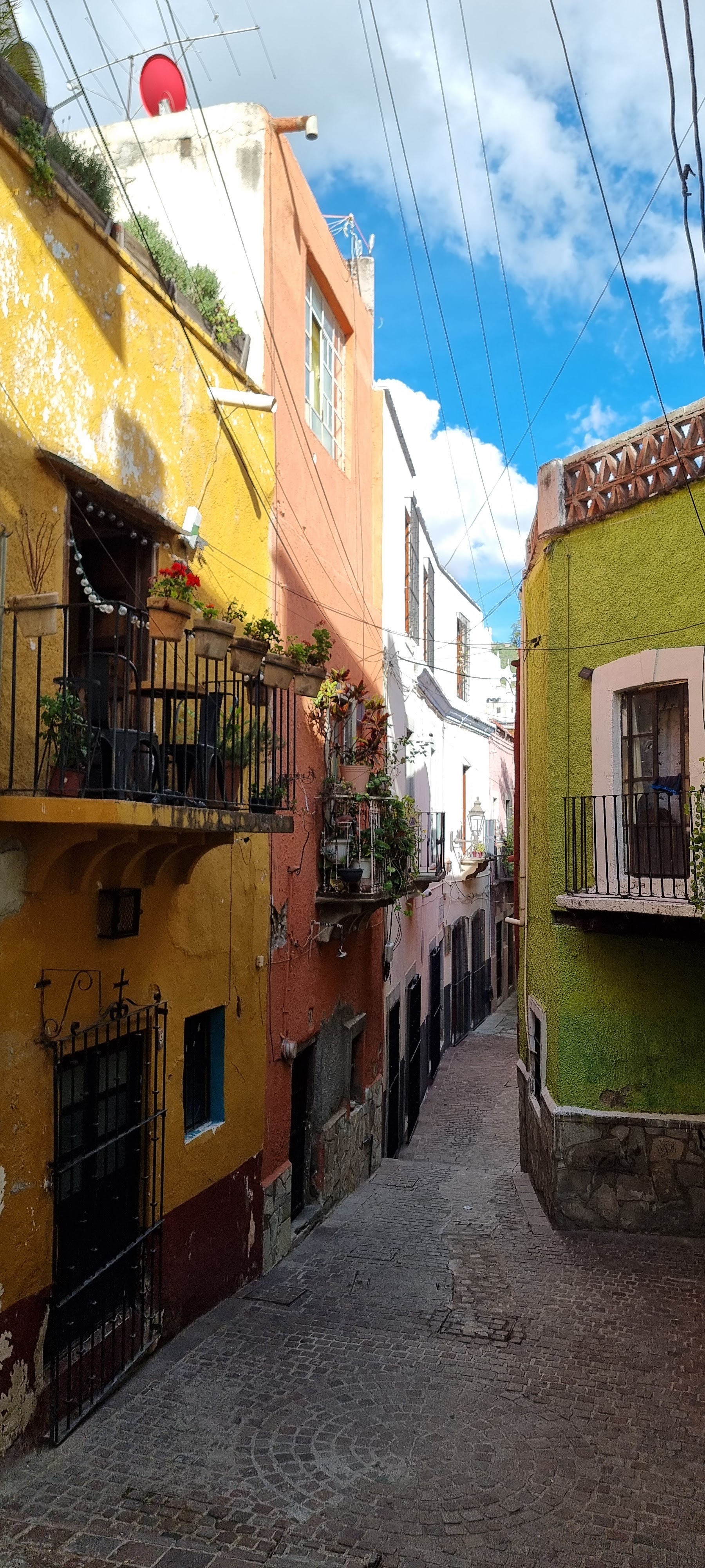 La Table de Andrée image 9