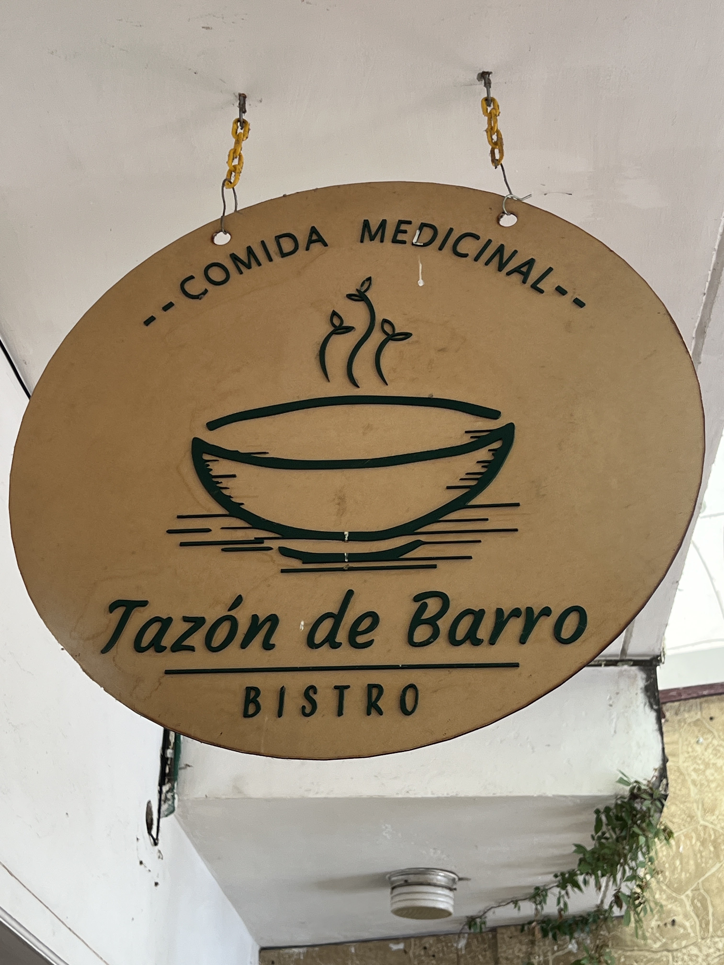Tazón de Barro, Comida Medicinal image 5