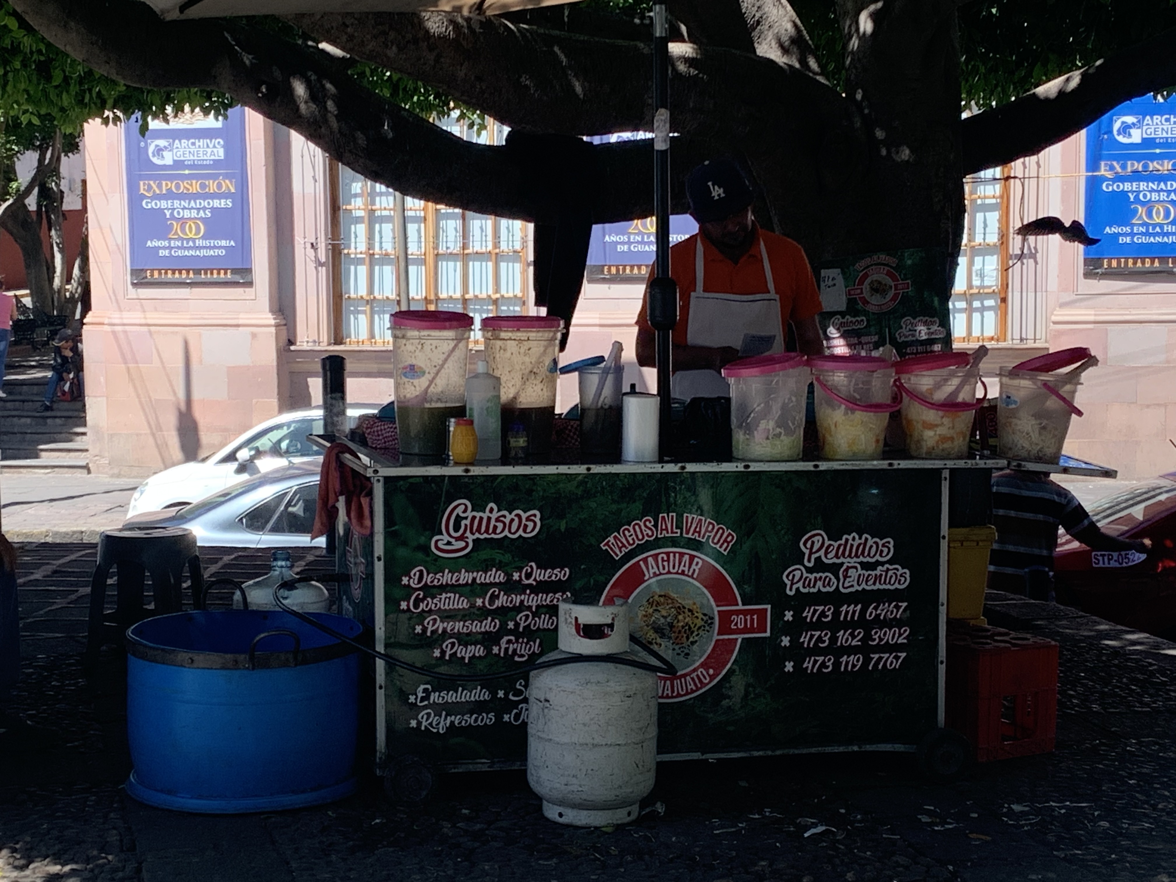 Tacos al vapor el jaguar image 3