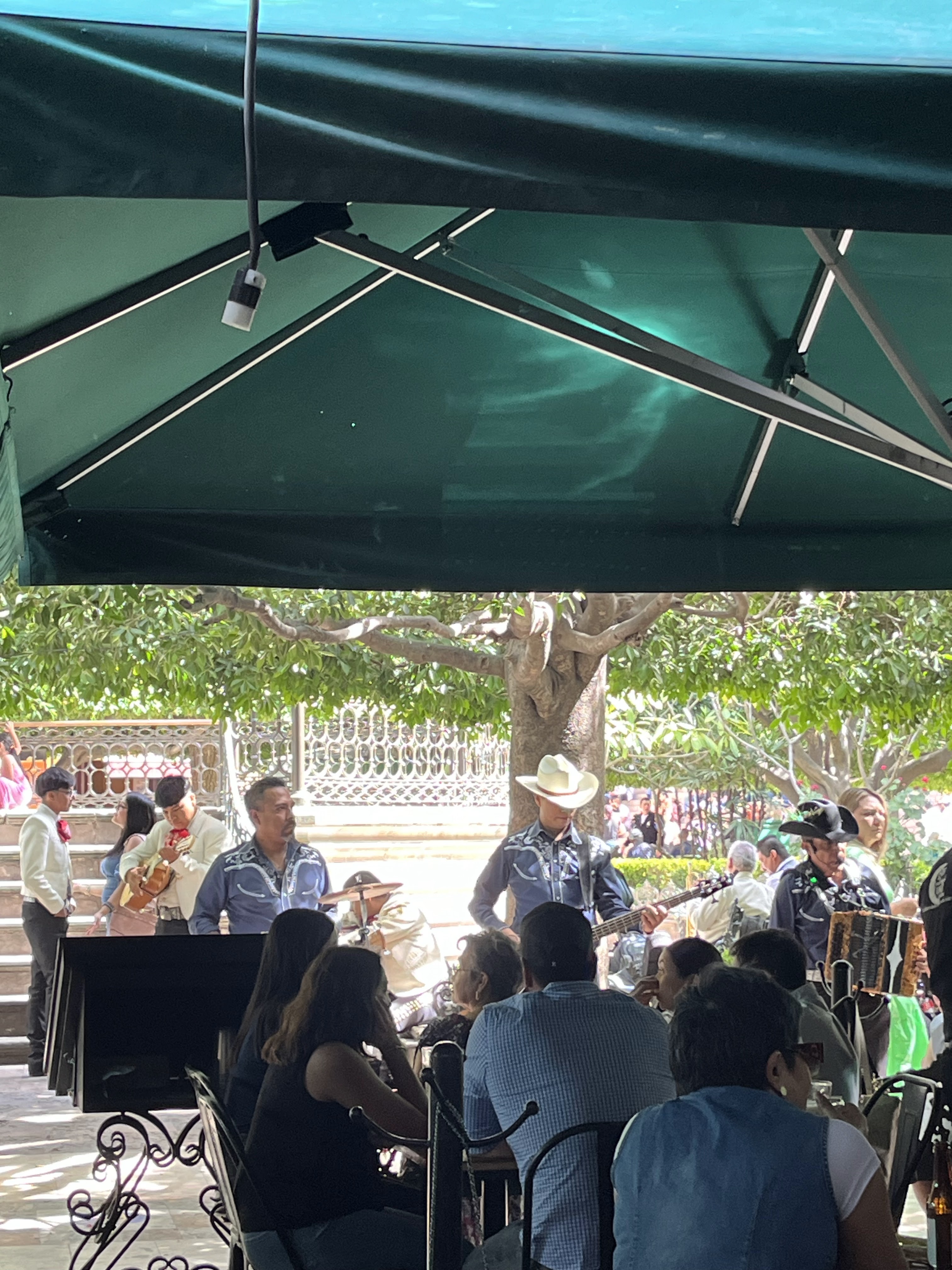 Bar Tradicional Luna image 9