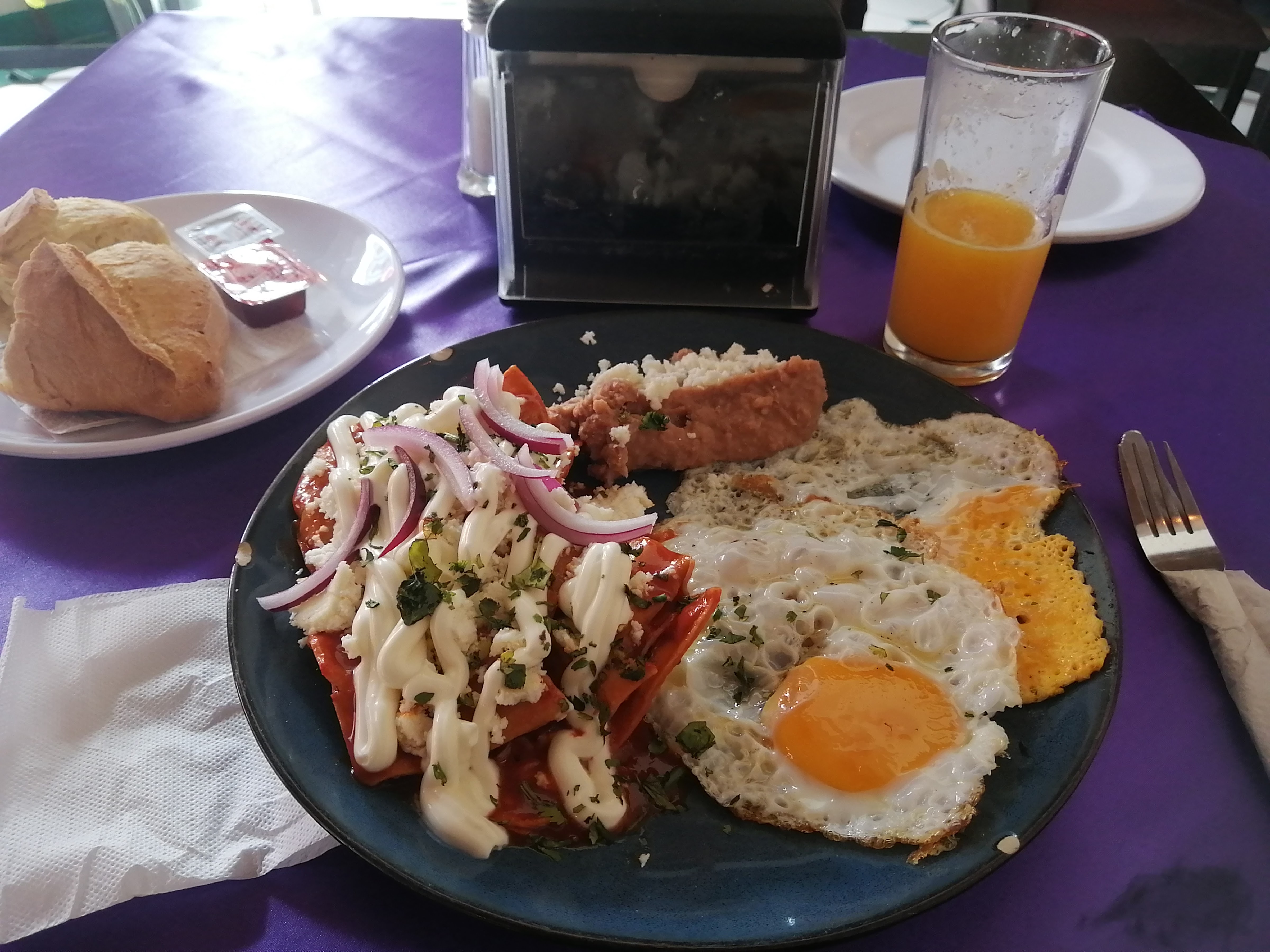 El Canastillo De Flores II image 7