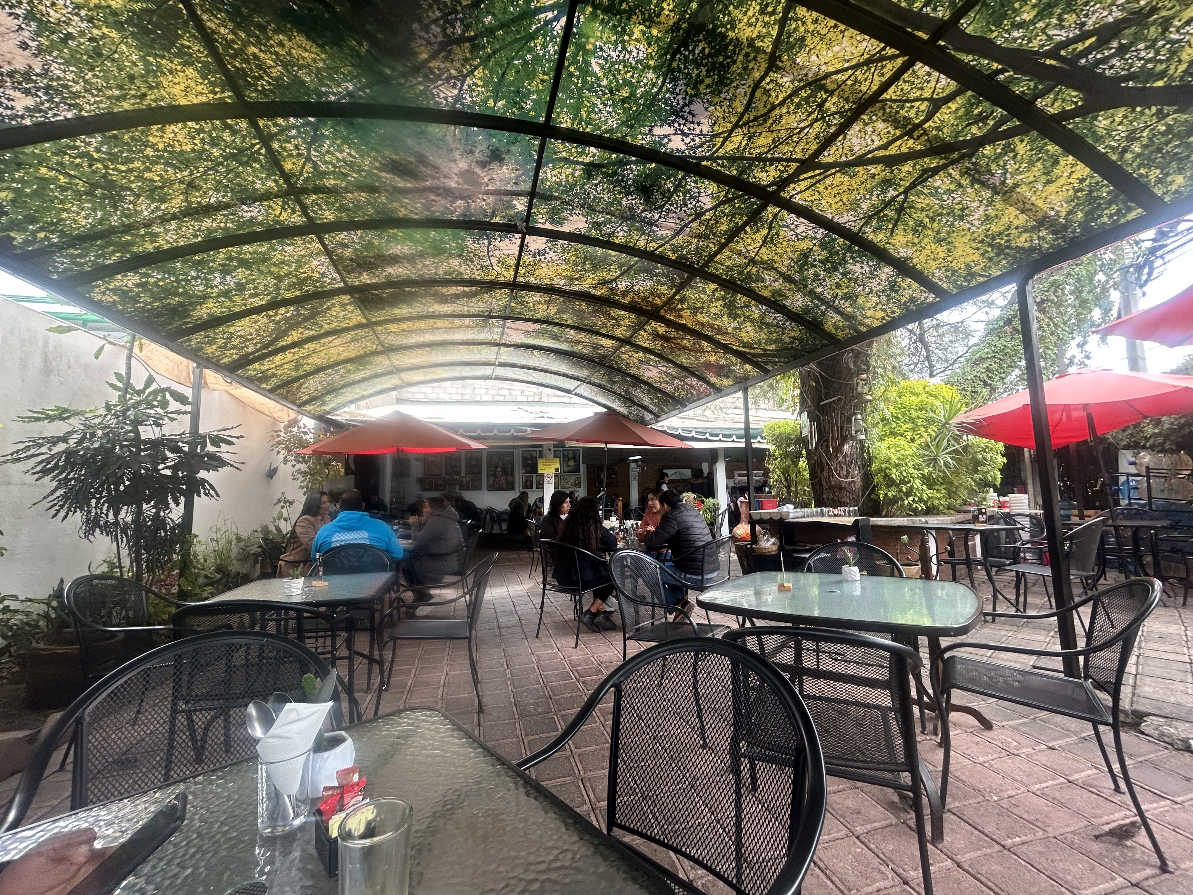 El Mezquite Tradicional image 7