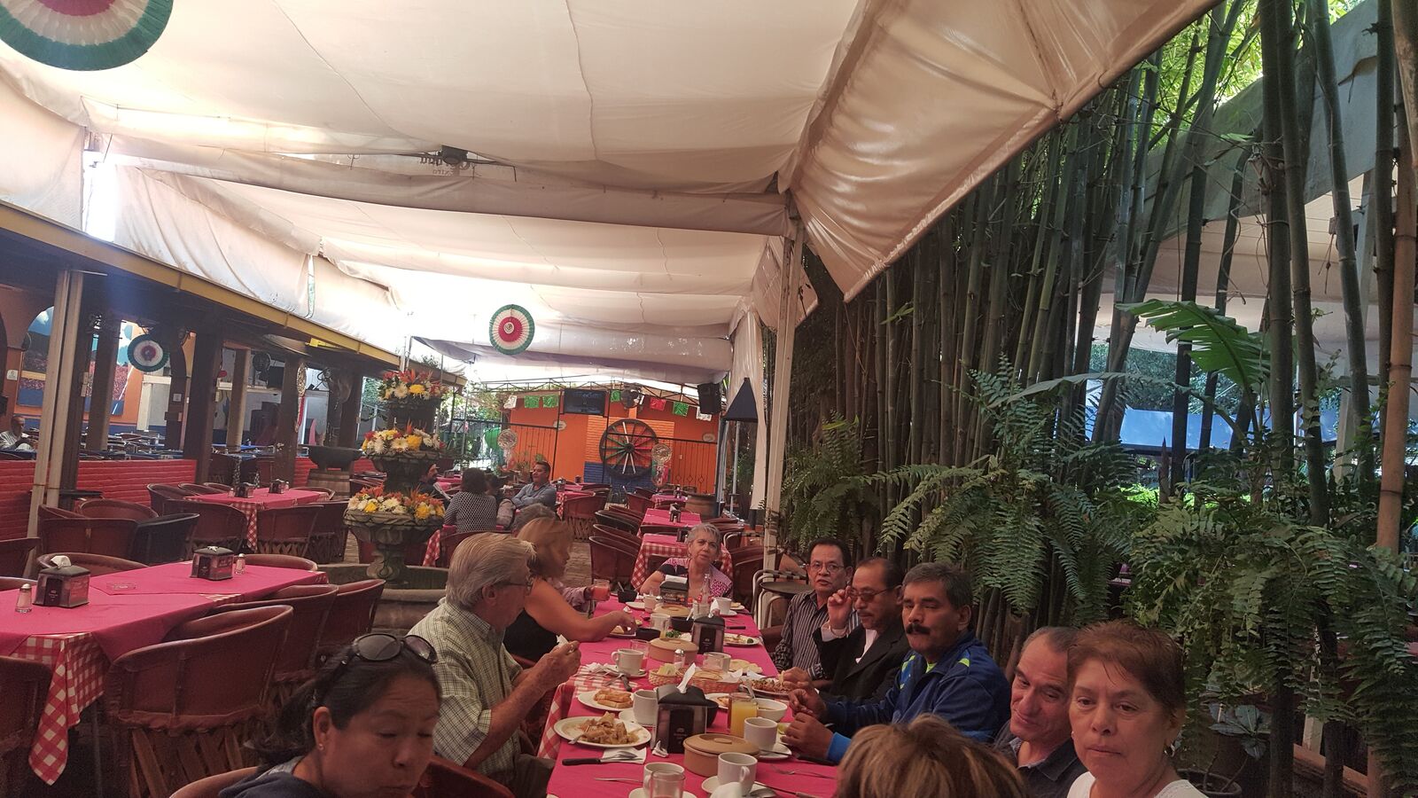 Los Ponchos image 9