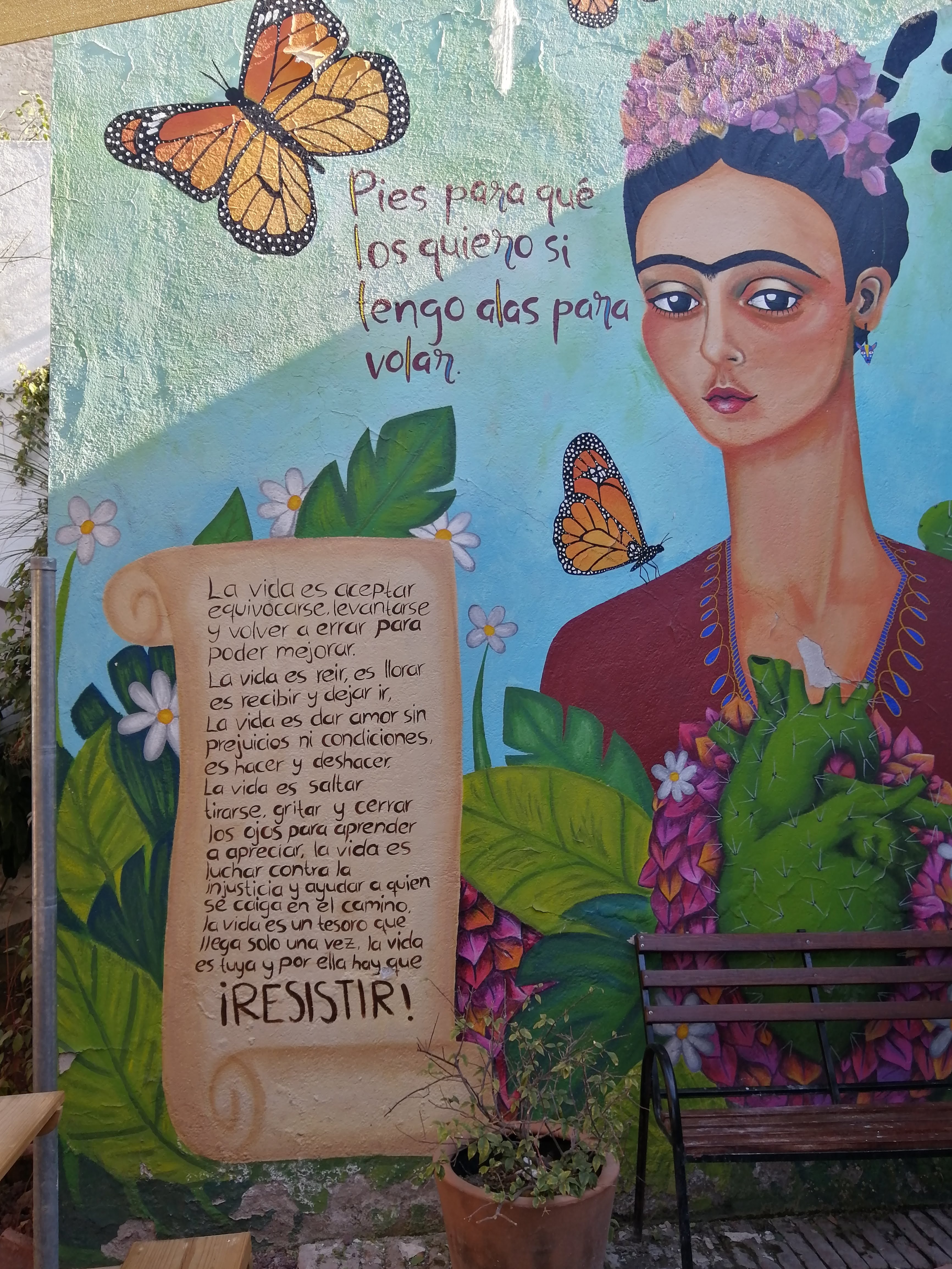 Restaurante Querétaro Rico image 4