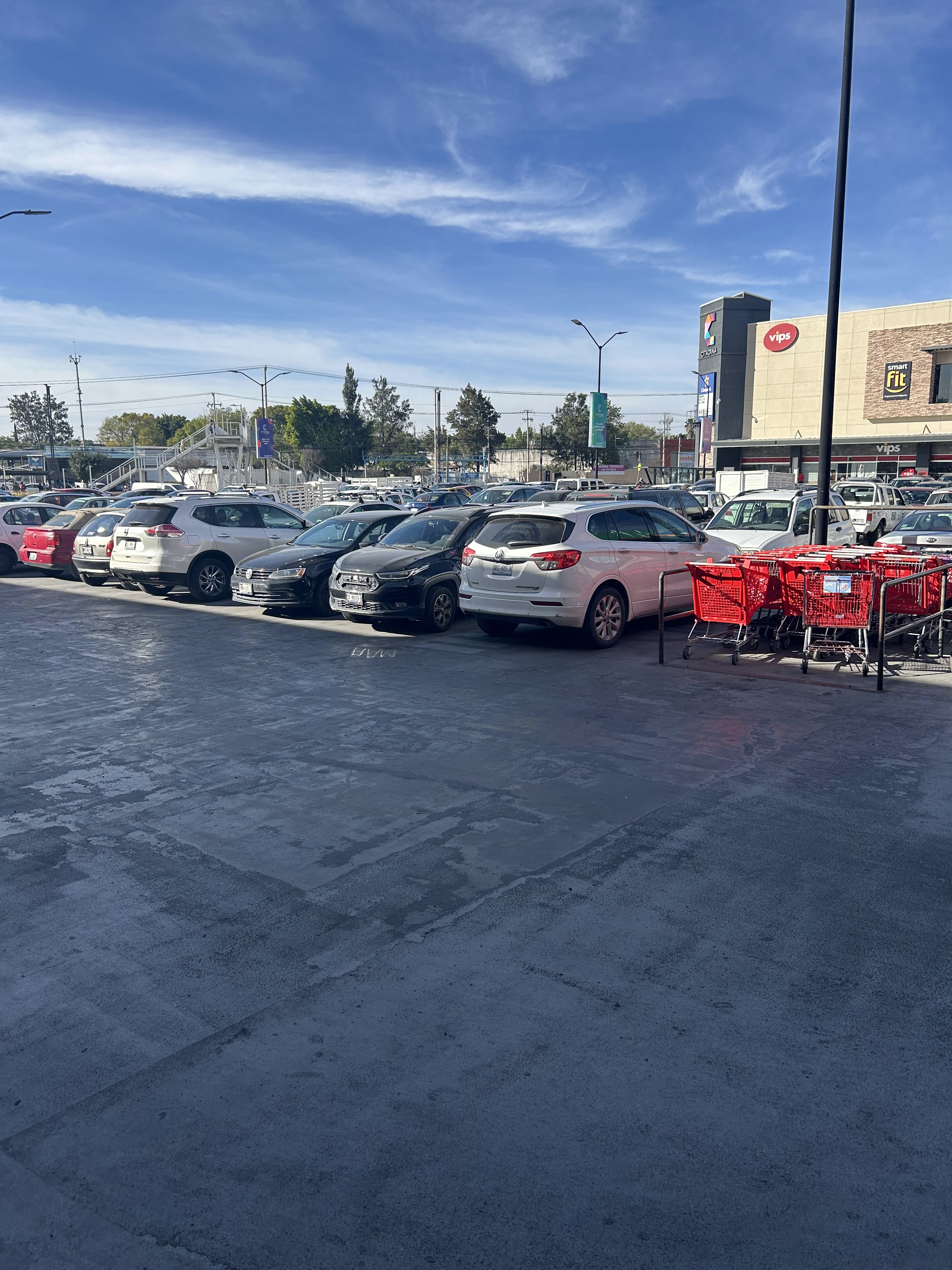 Vips Citadina Constituyentes image 8