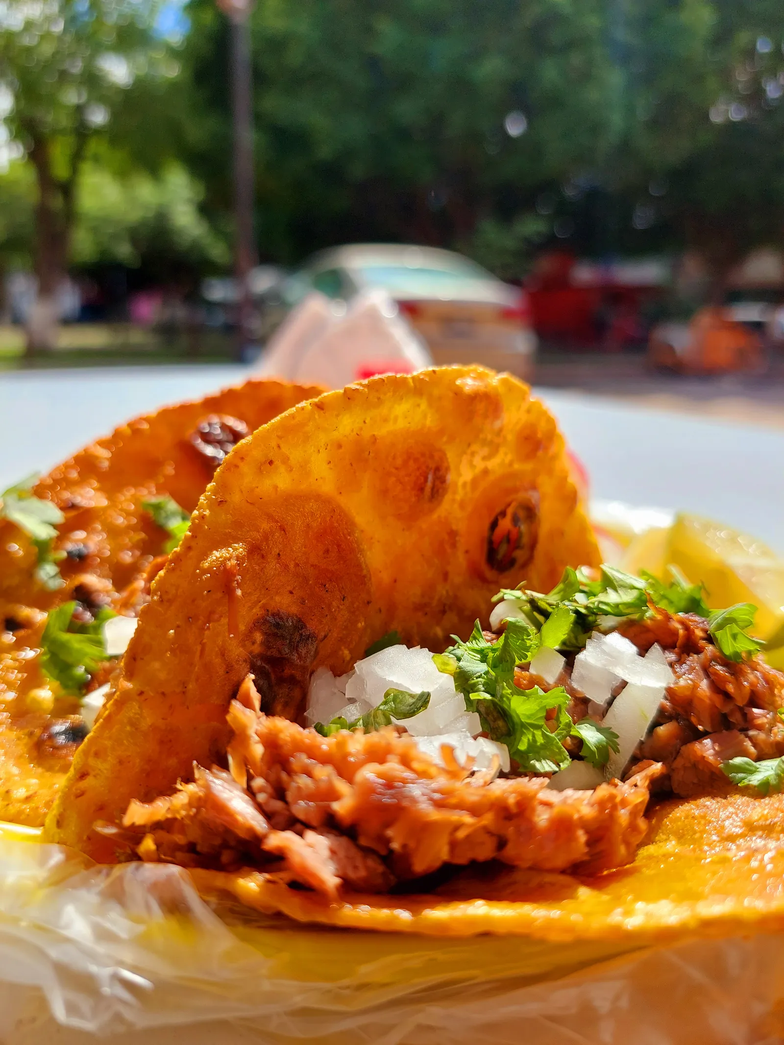 De Enbirria image 7