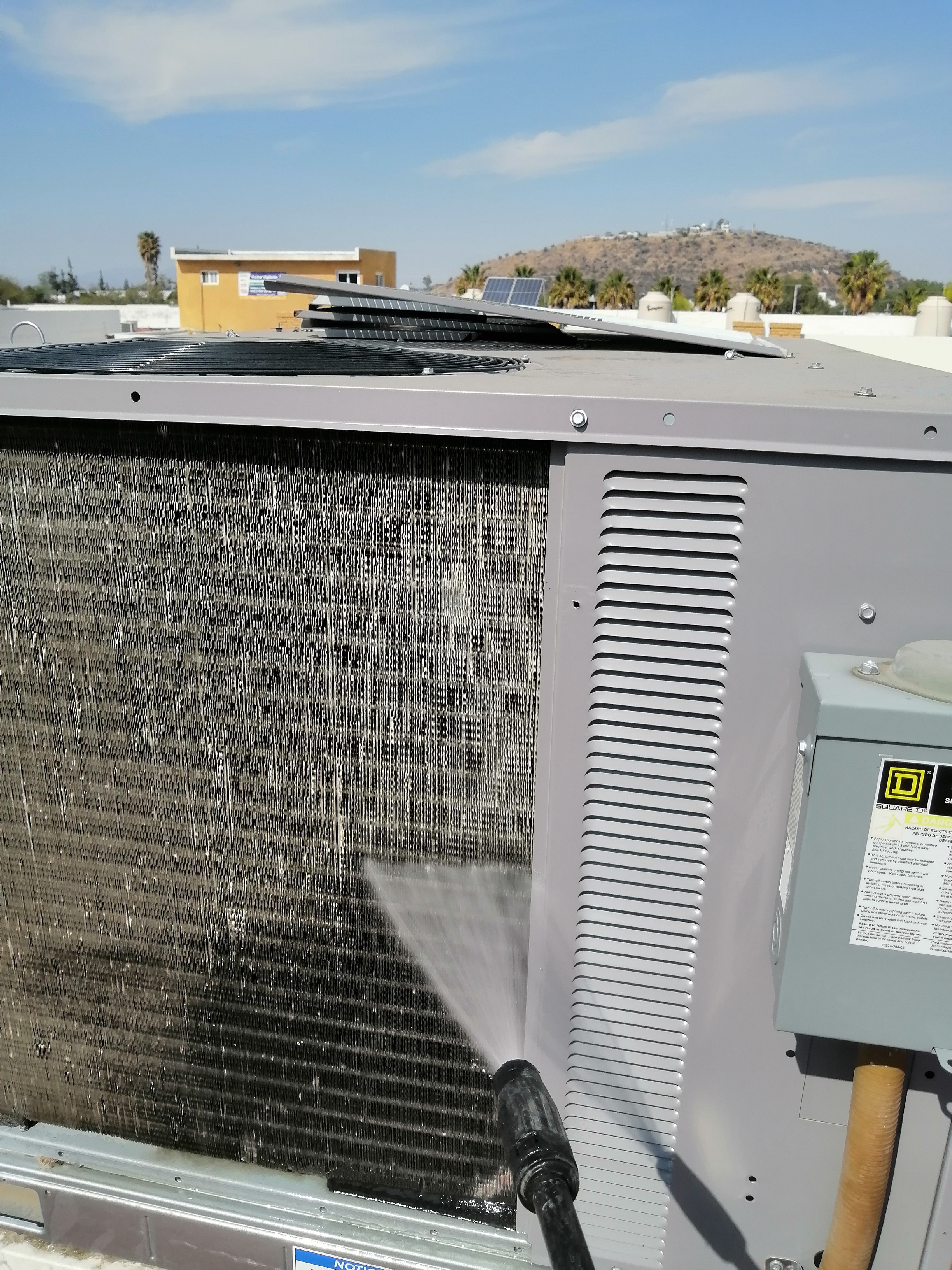 Little Caesars Pizza image 5