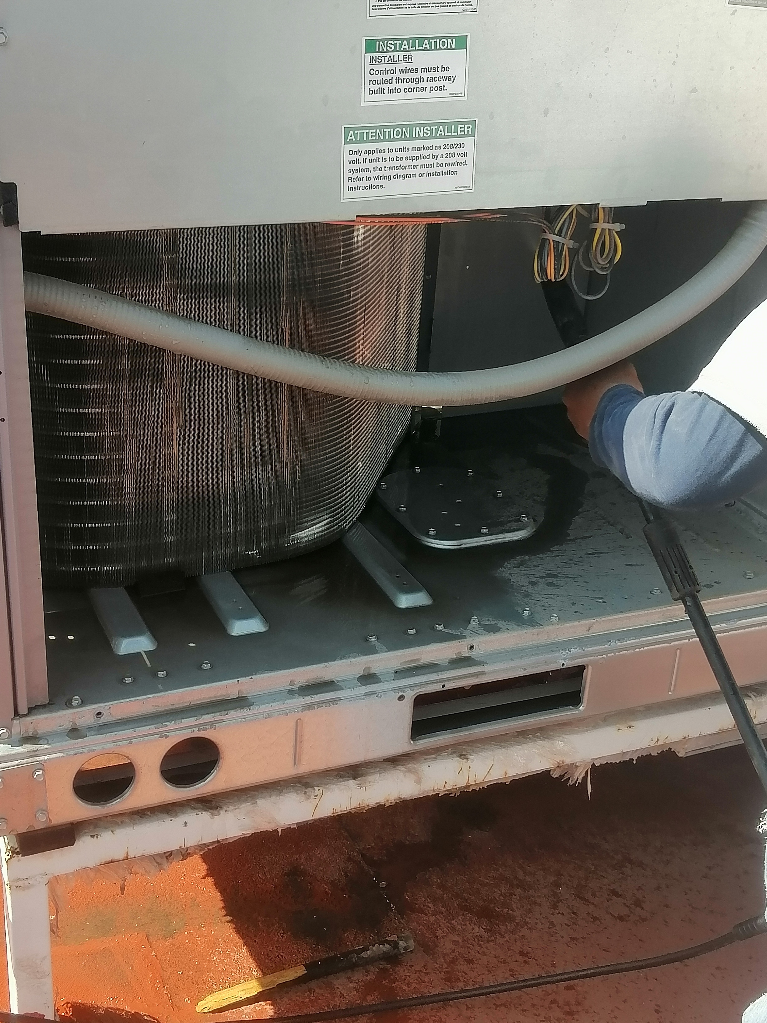 Little Caesars Pizza image 9