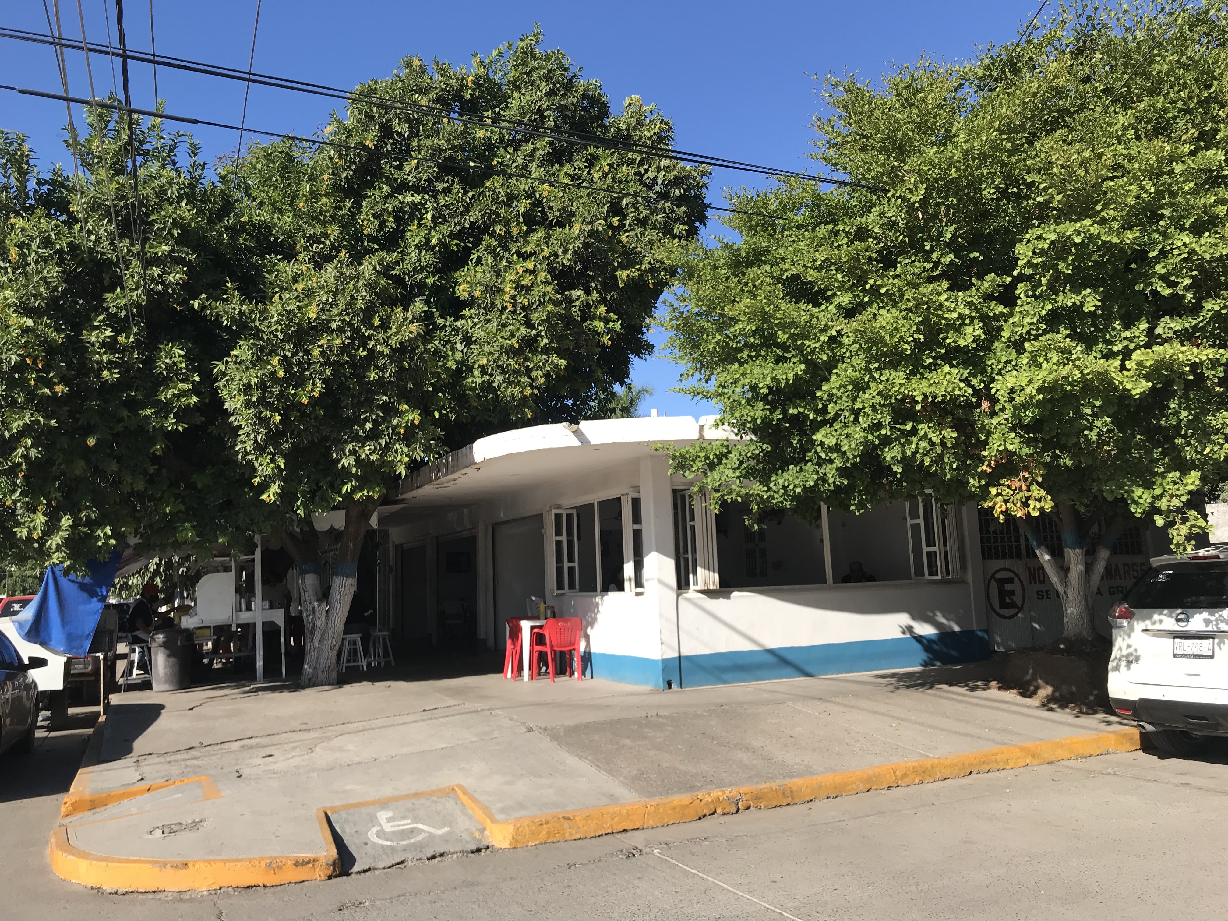 Mariscos Mulato image 5