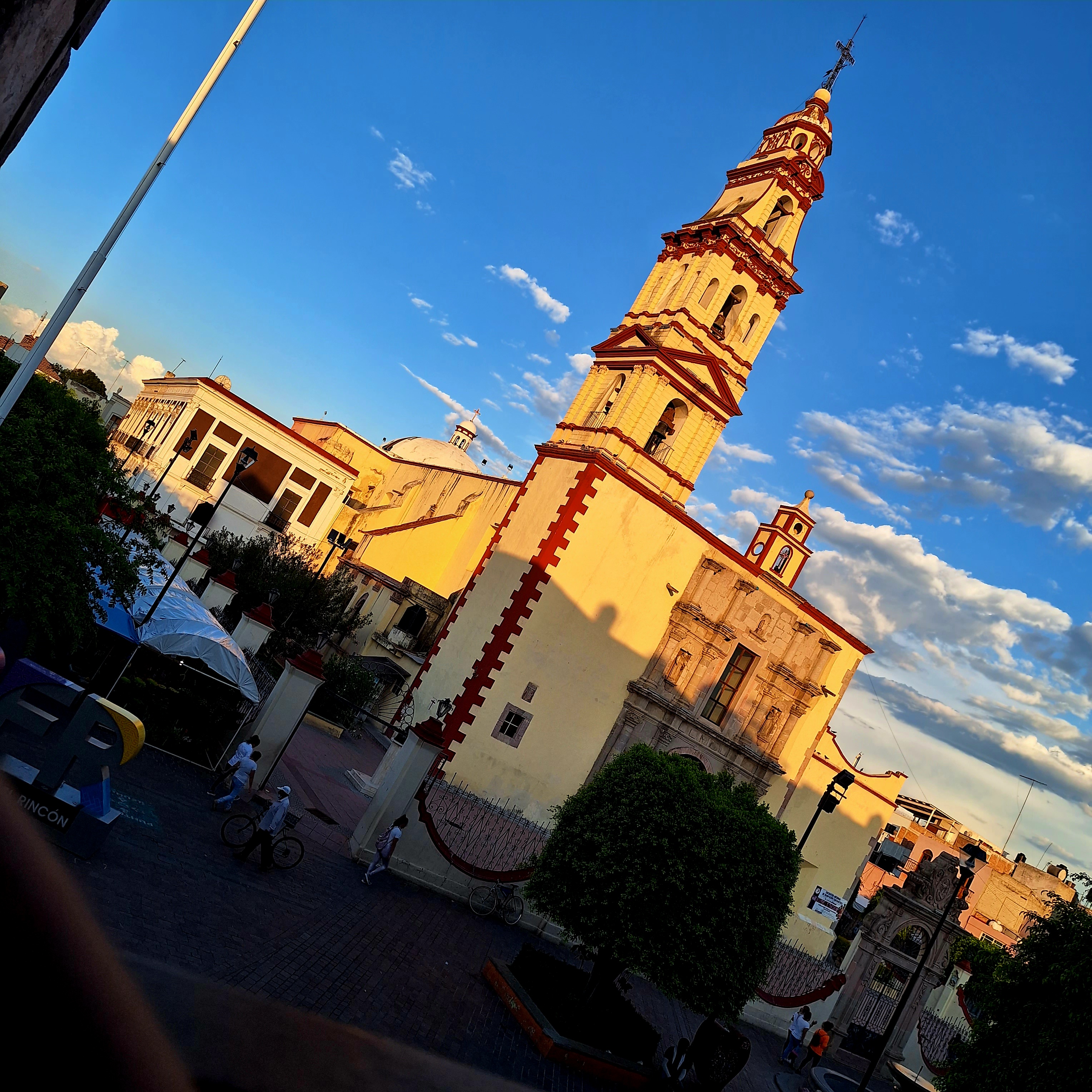 Piatto Pasta image 4